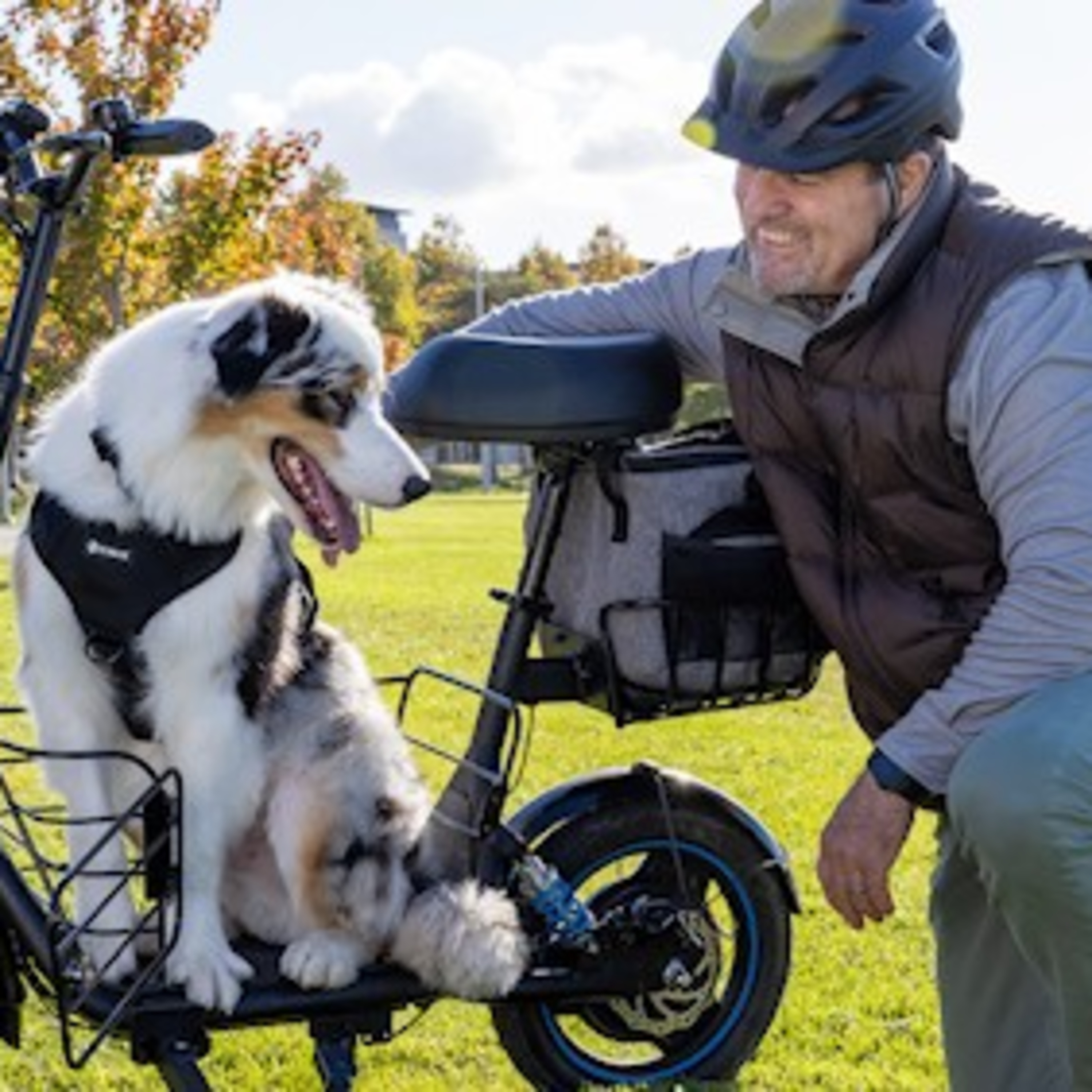 Gyroor adds pet comfort to electric scooters episode artwork
