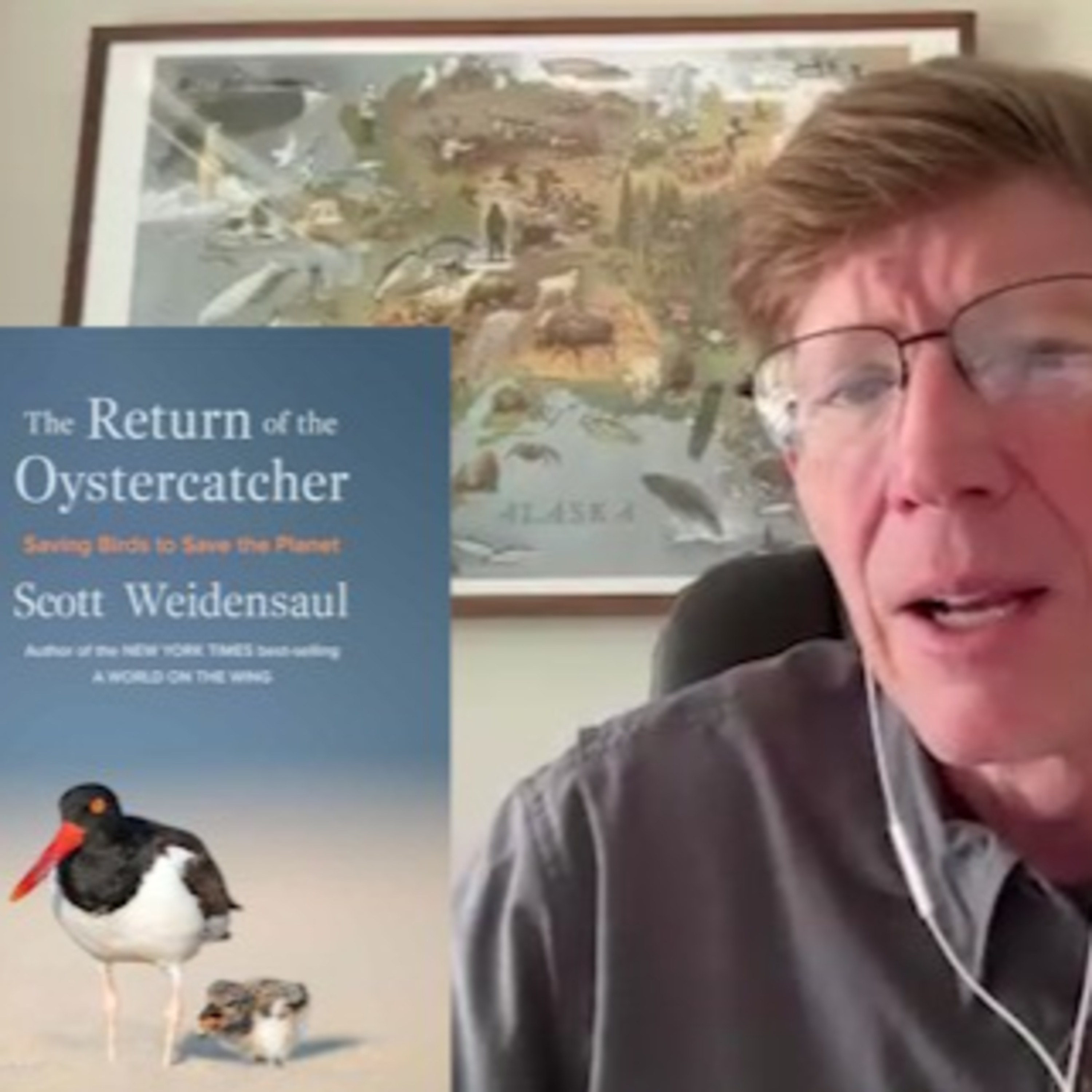 The Return of the Oystercatcher: Saving Birds to Save the Planet -author episode artwork
