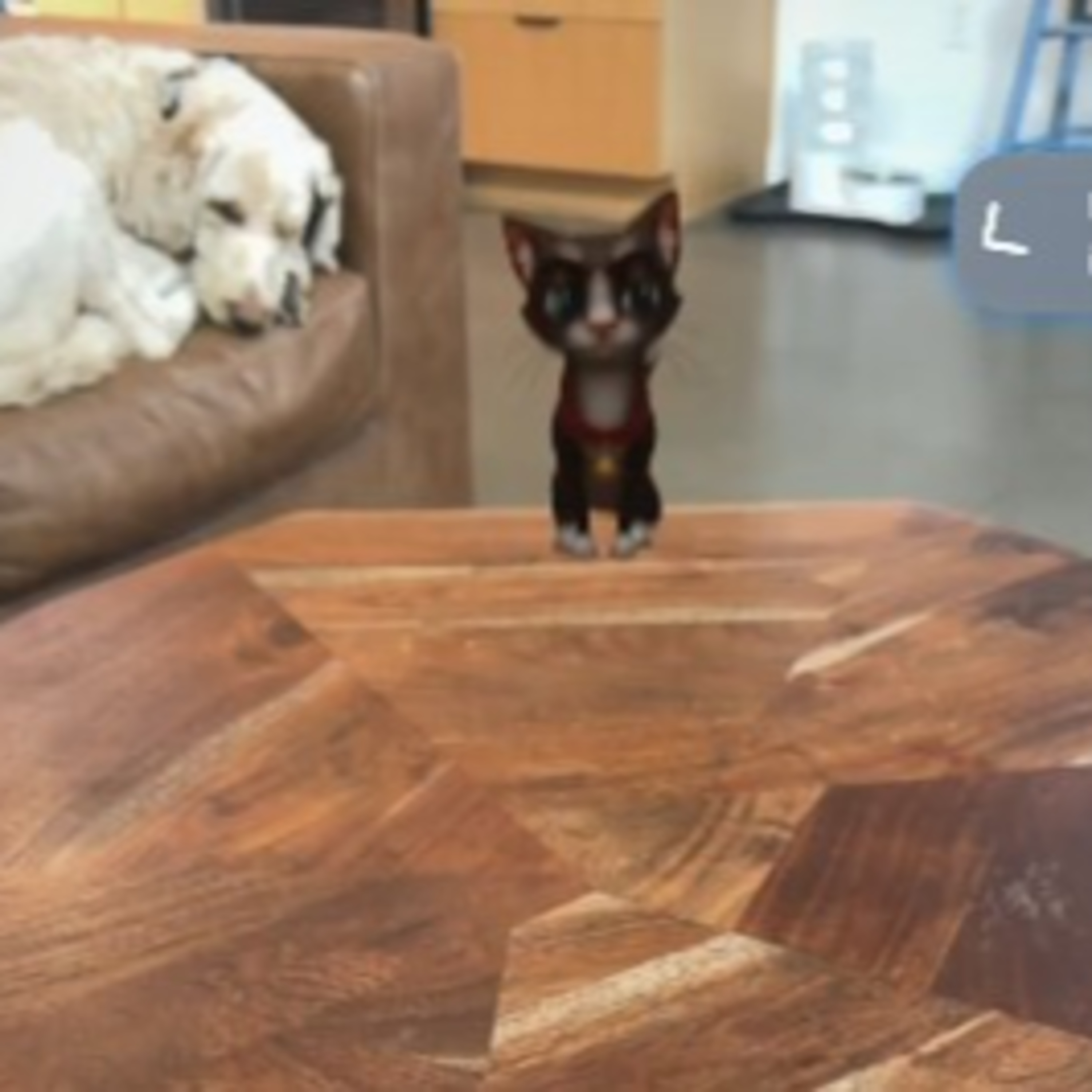 Techstination interview: Pixi Garden app brings AI and AR to iMessaging and more to come episode artwork