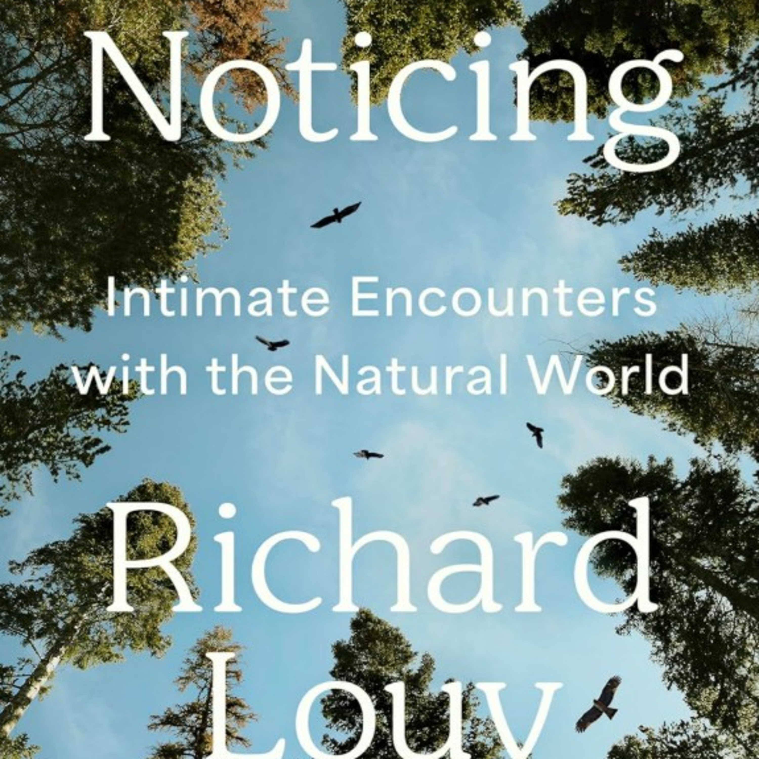 How much have you been noticing? Author Richard Louv- part one episode artwork