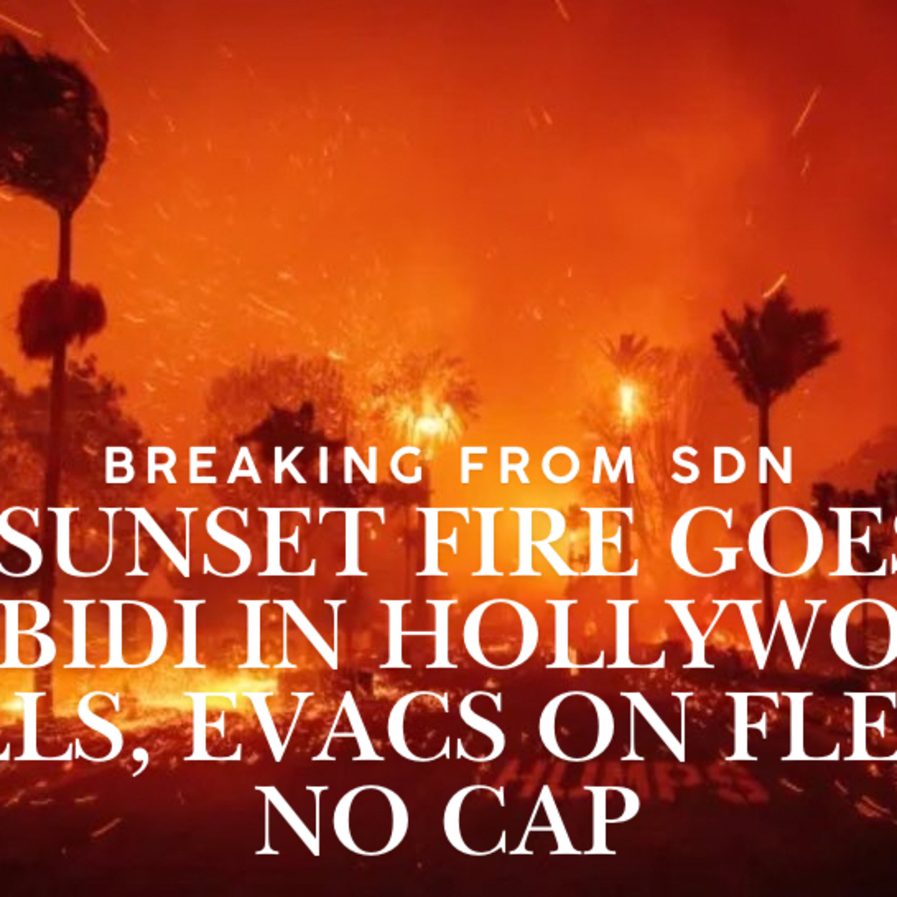 Sunset Fire Goes Skibidi in Hollywood Hills, Evacs on Fleek, No Cap episode artwork
