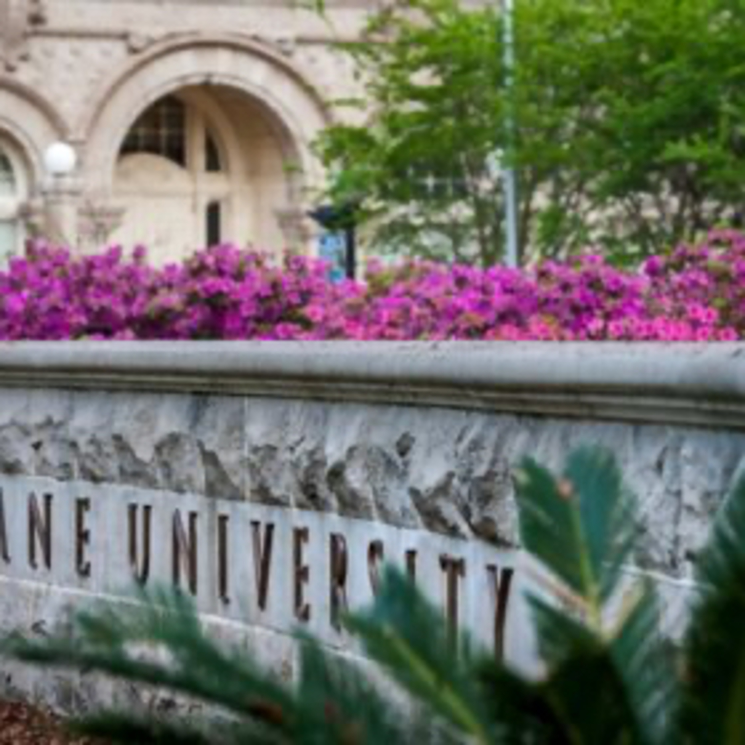 "Tulane SA Drama: Tea Spilled, No Cap" episode artwork