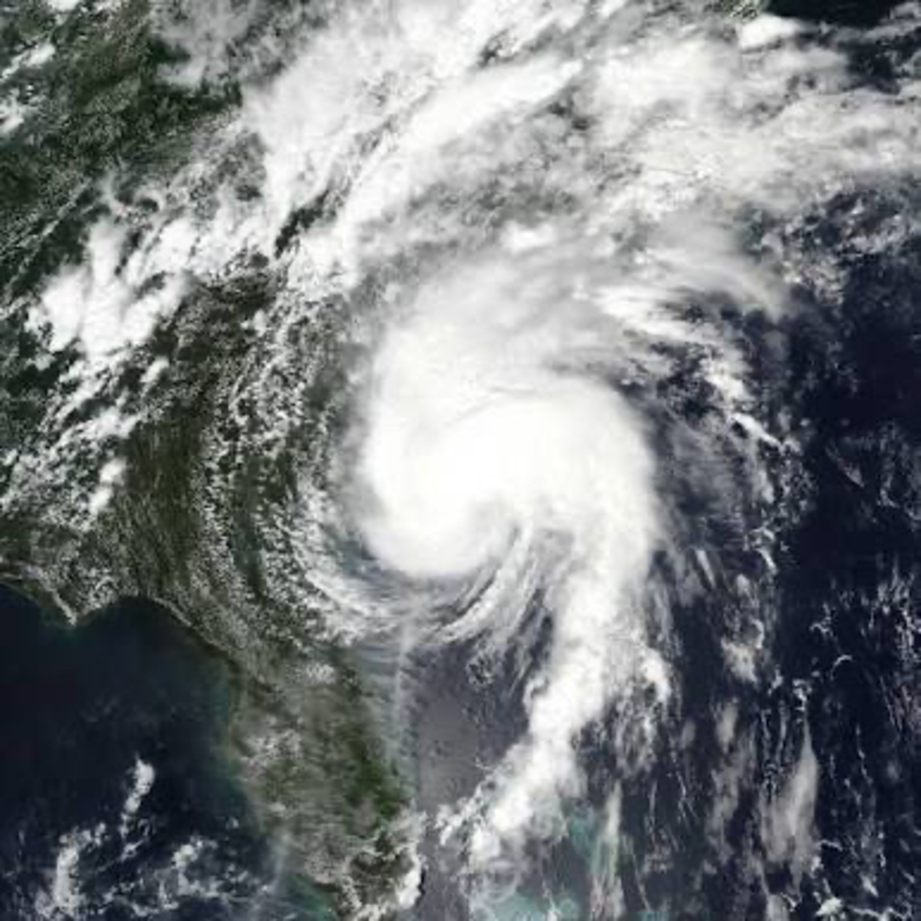BREAKING: HURRICANE ISAIAS IS DOING TOO MUCH episode artwork