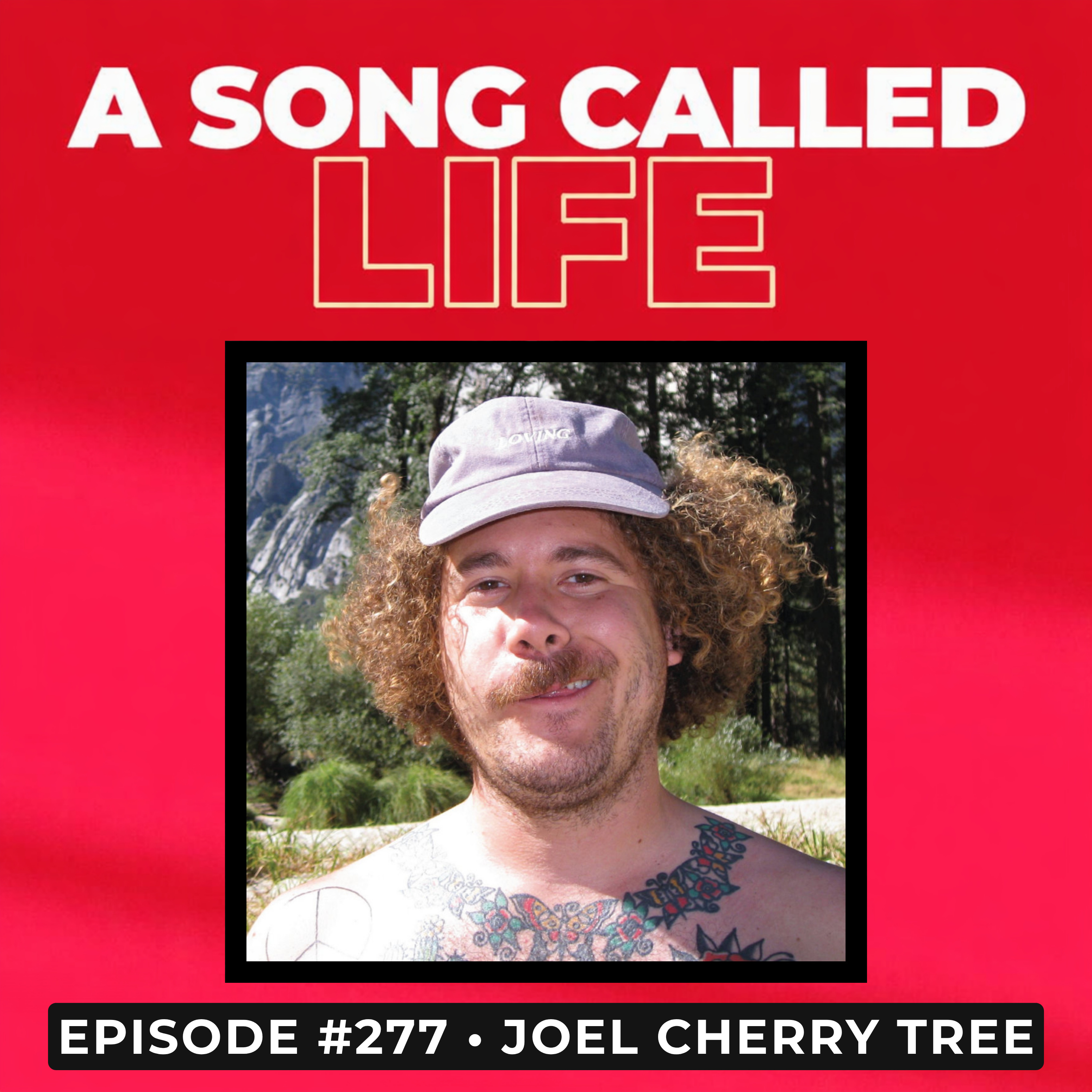 Episode #277: Joel Cherry Tree episode artwork
