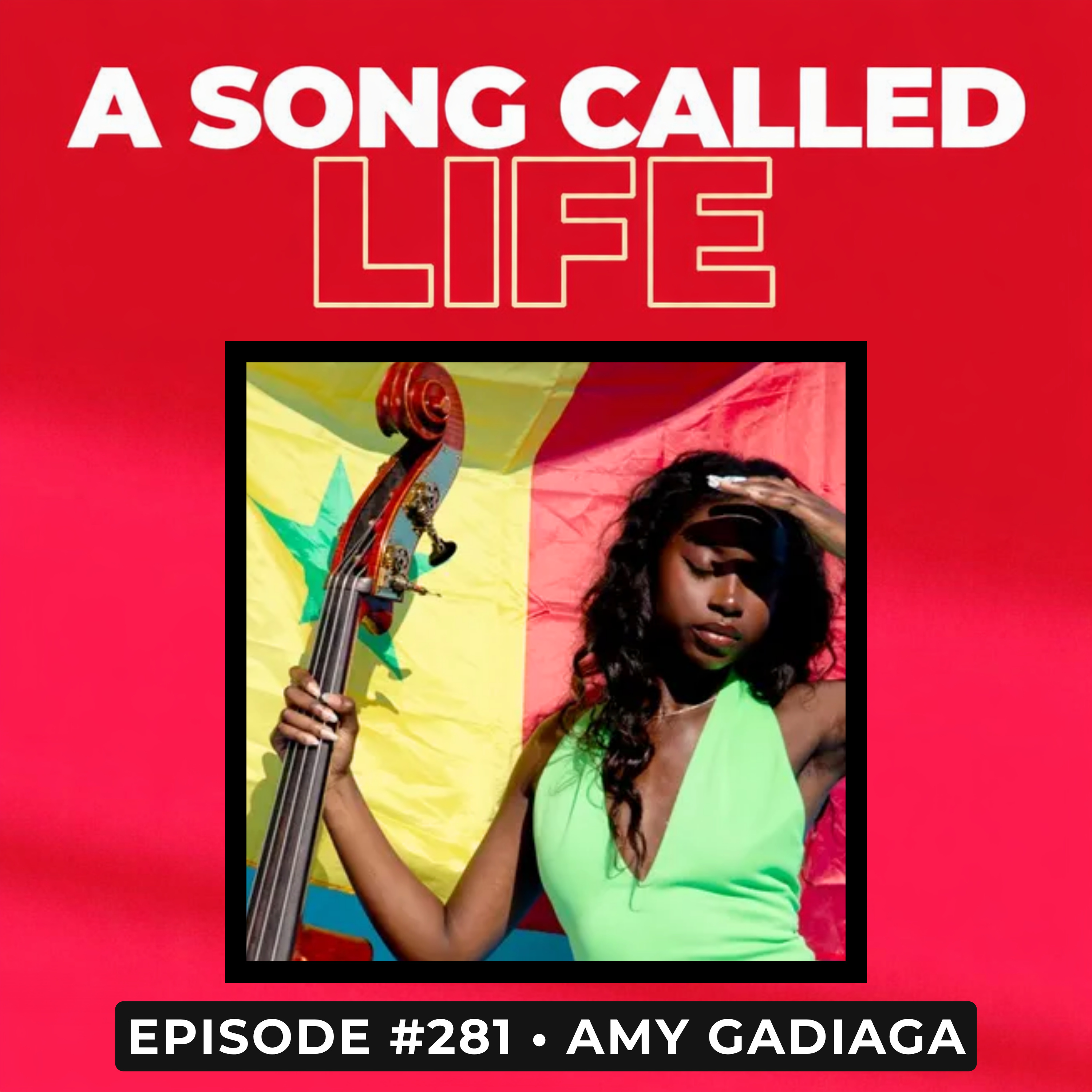 Episode #281: Amy Gadiaga episode artwork
