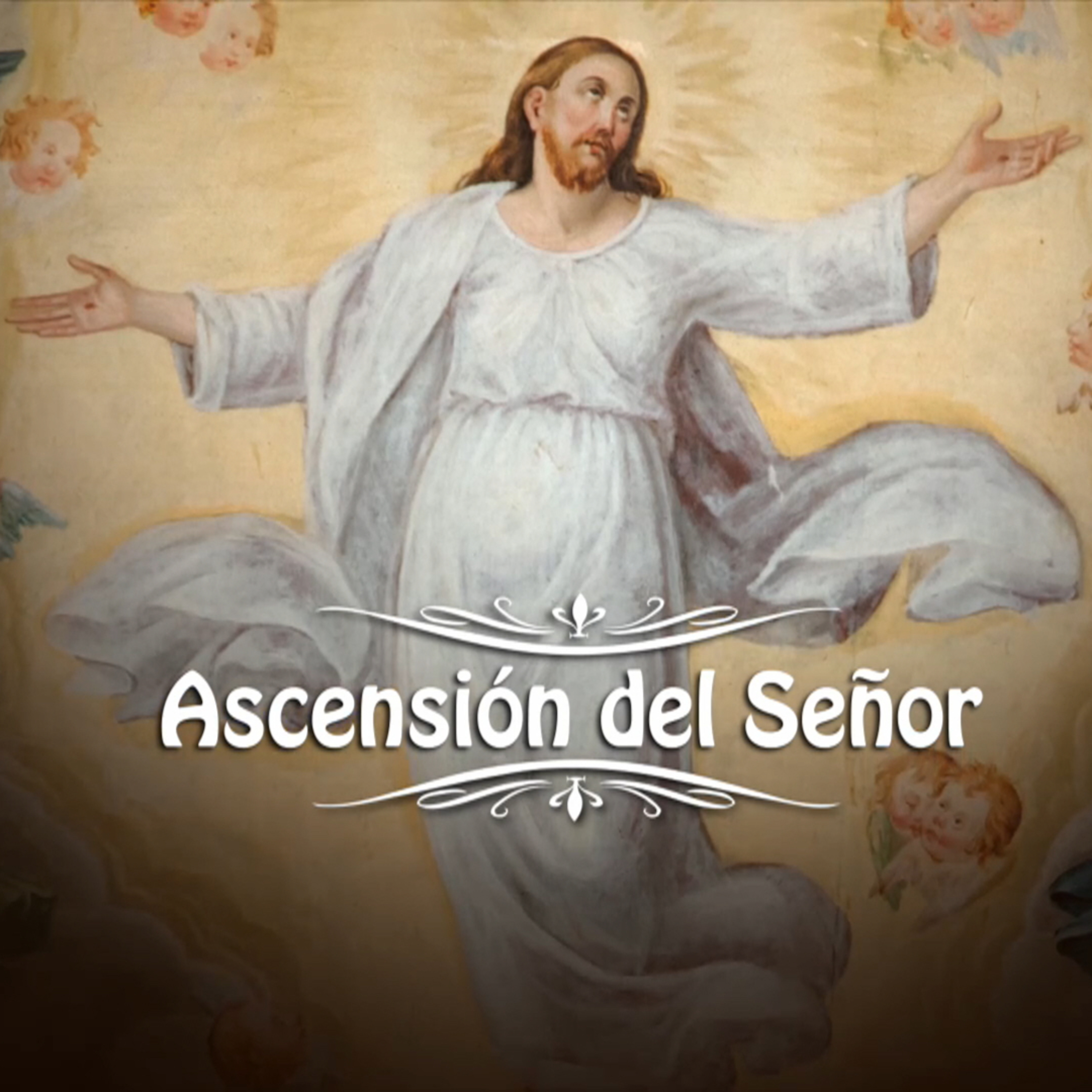 Catedral de Buenos Aires. Santa Misa del domingo 21 de Mayo. Domingo de la Ascensión del Señor. episode artwork