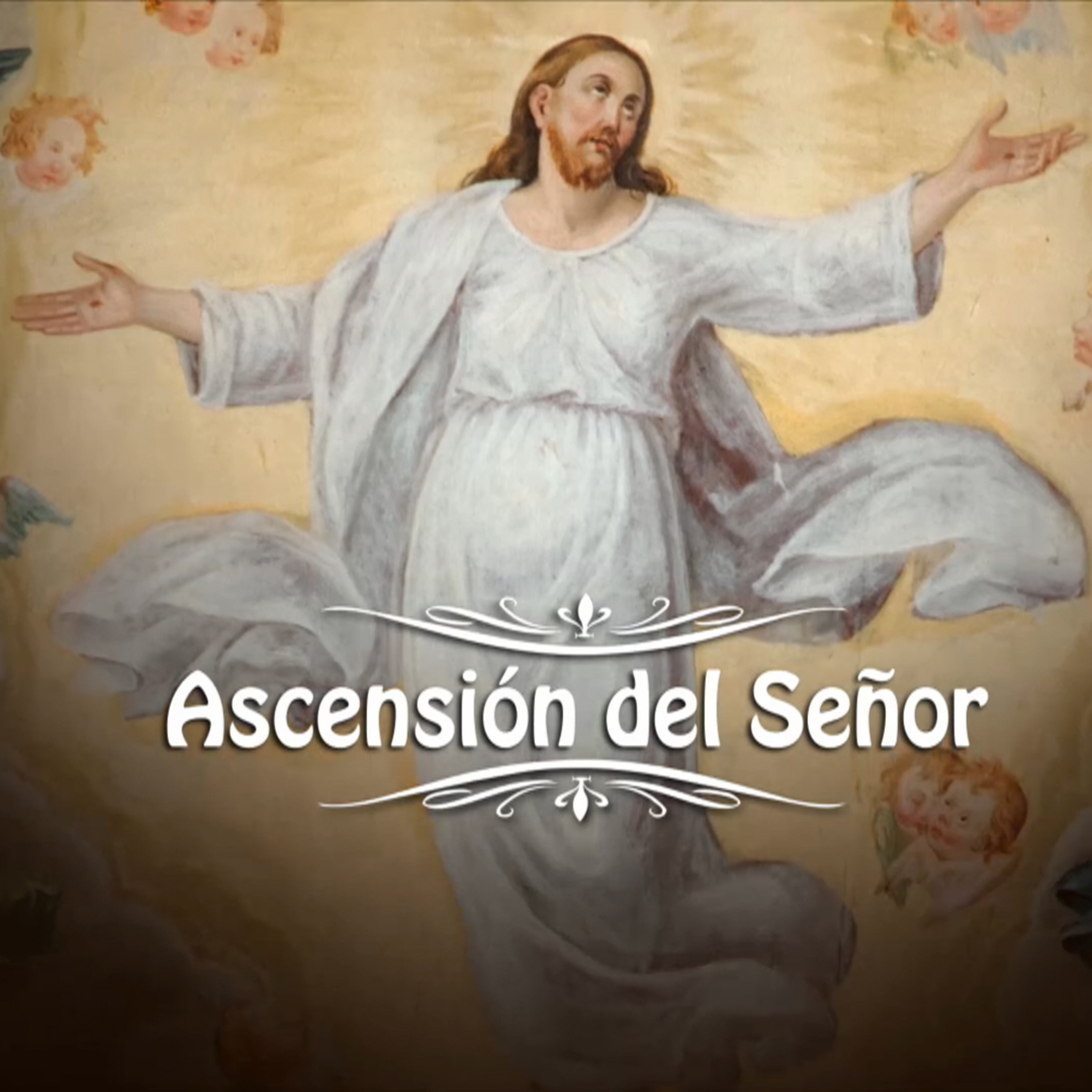 Catedral metropolitana de Buenos Aires. Santa Misa Domingo de la Ascensión del Señor del 12 de Mayo episode artwork