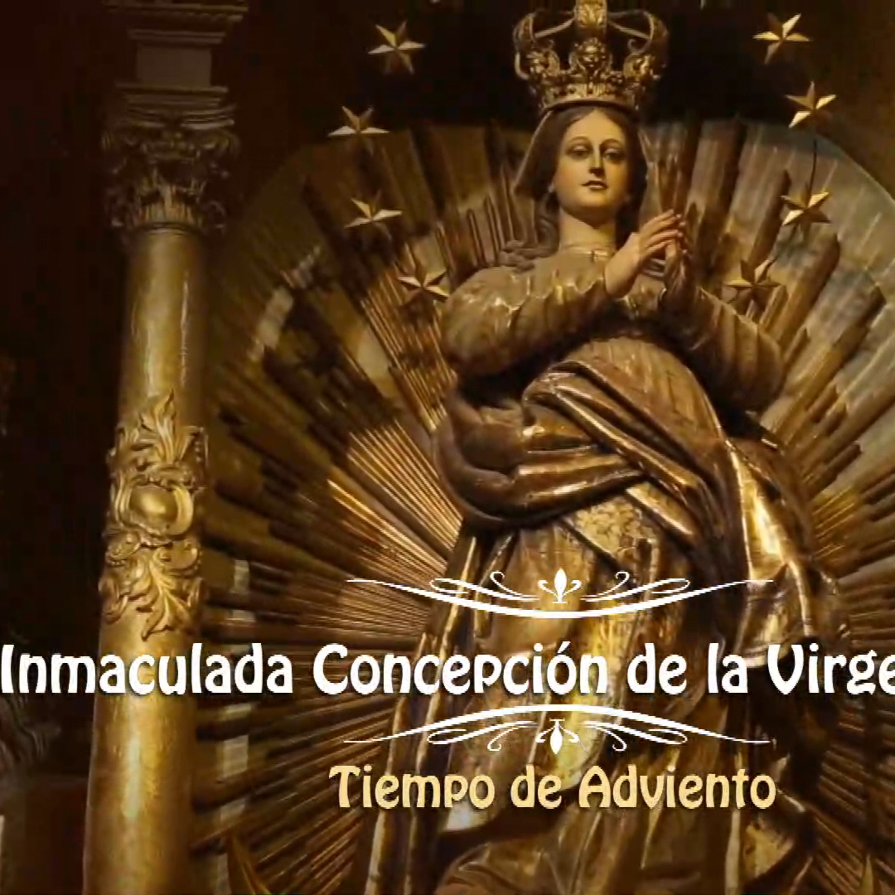 Catedral metropolitana de Buenos Aires. Santa Misa del domingo 8 de diciembre episode artwork