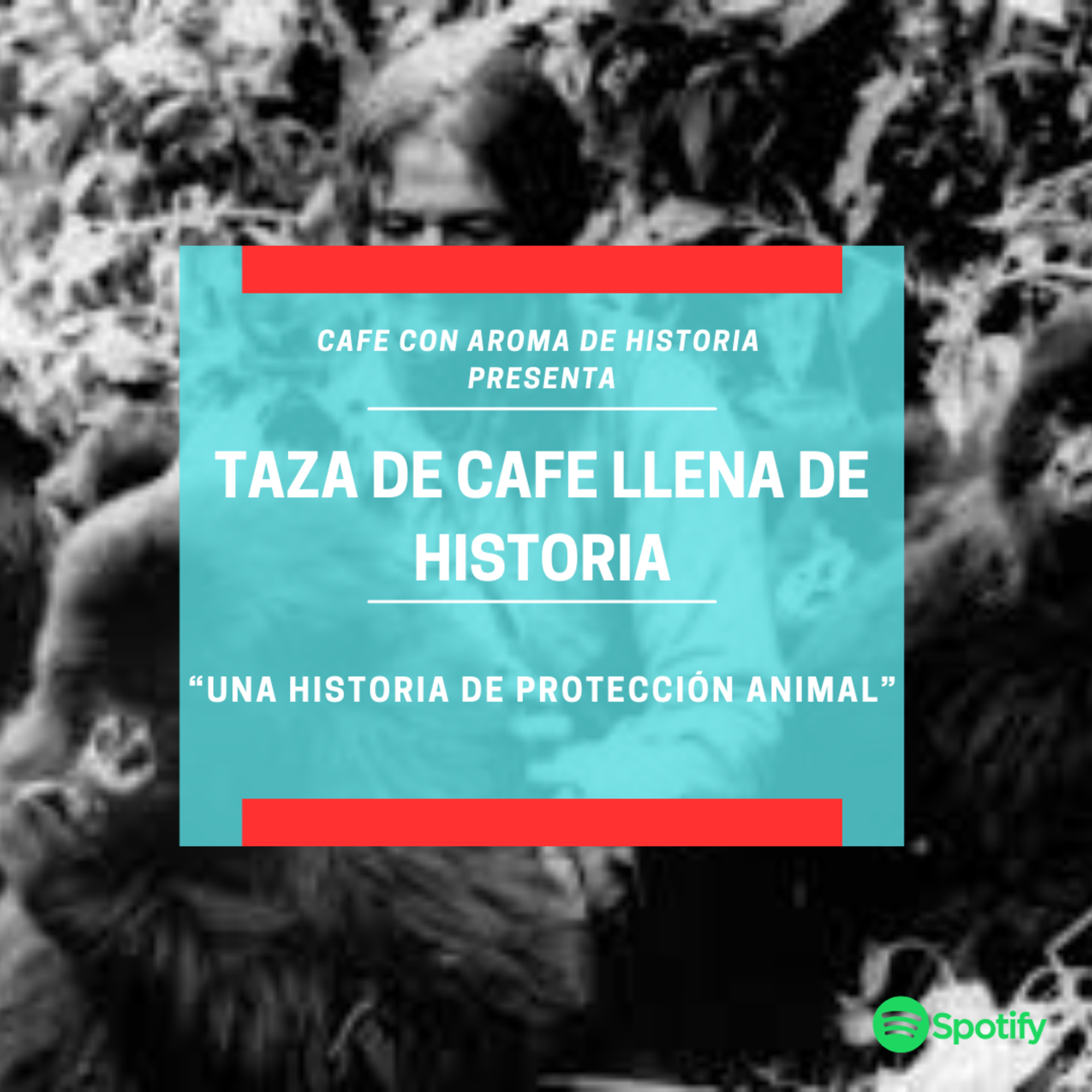 “Una historia de protección animal” episode artwork
