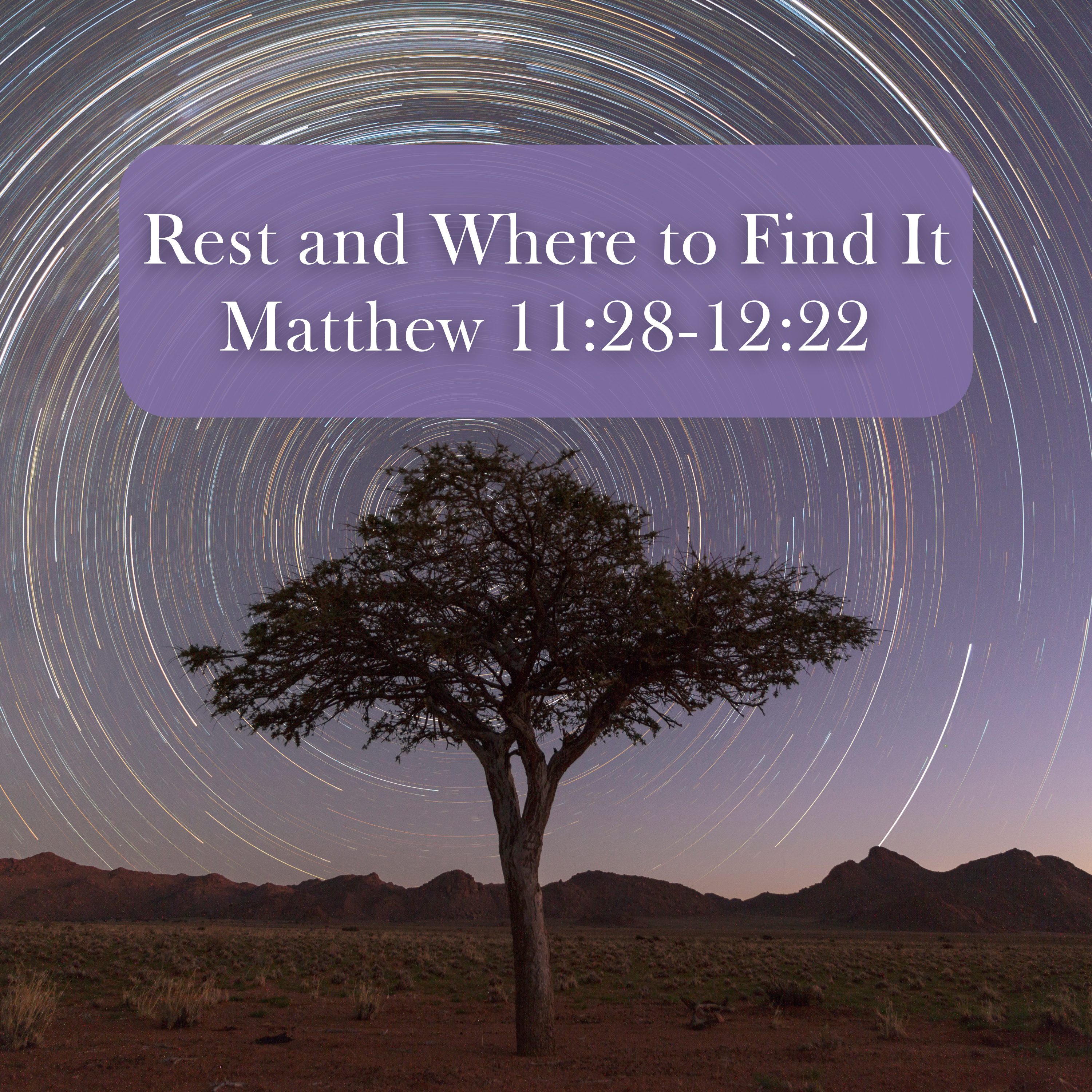 Matthew 11:28-12:22 // Rest and Where to Find It episode artwork