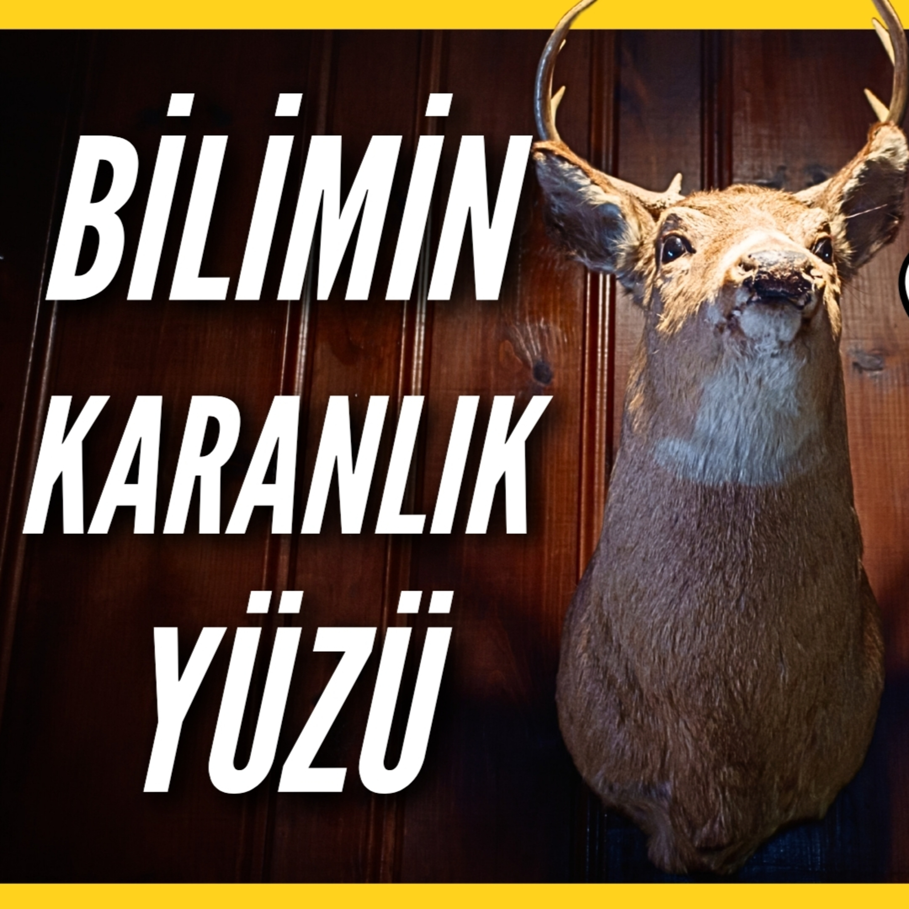 Taksidermi: Bilim mi, Vahşet mi? | Yoksa Sadece bir Koleksiyon Eşyası mı? episode artwork