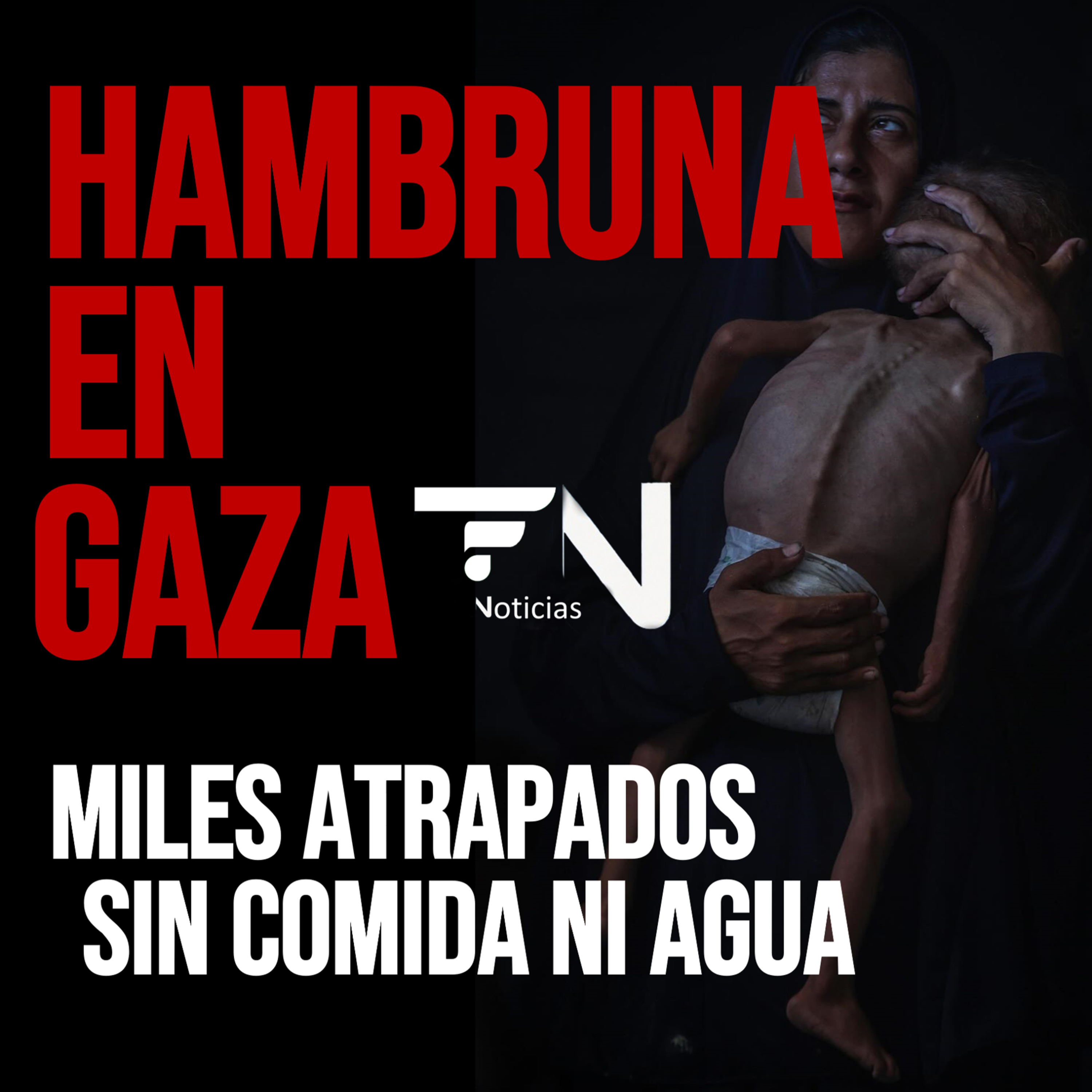 Hambruna en Gaza: miles siguen atrapados sin comida ni agua- Las noticias de HOY