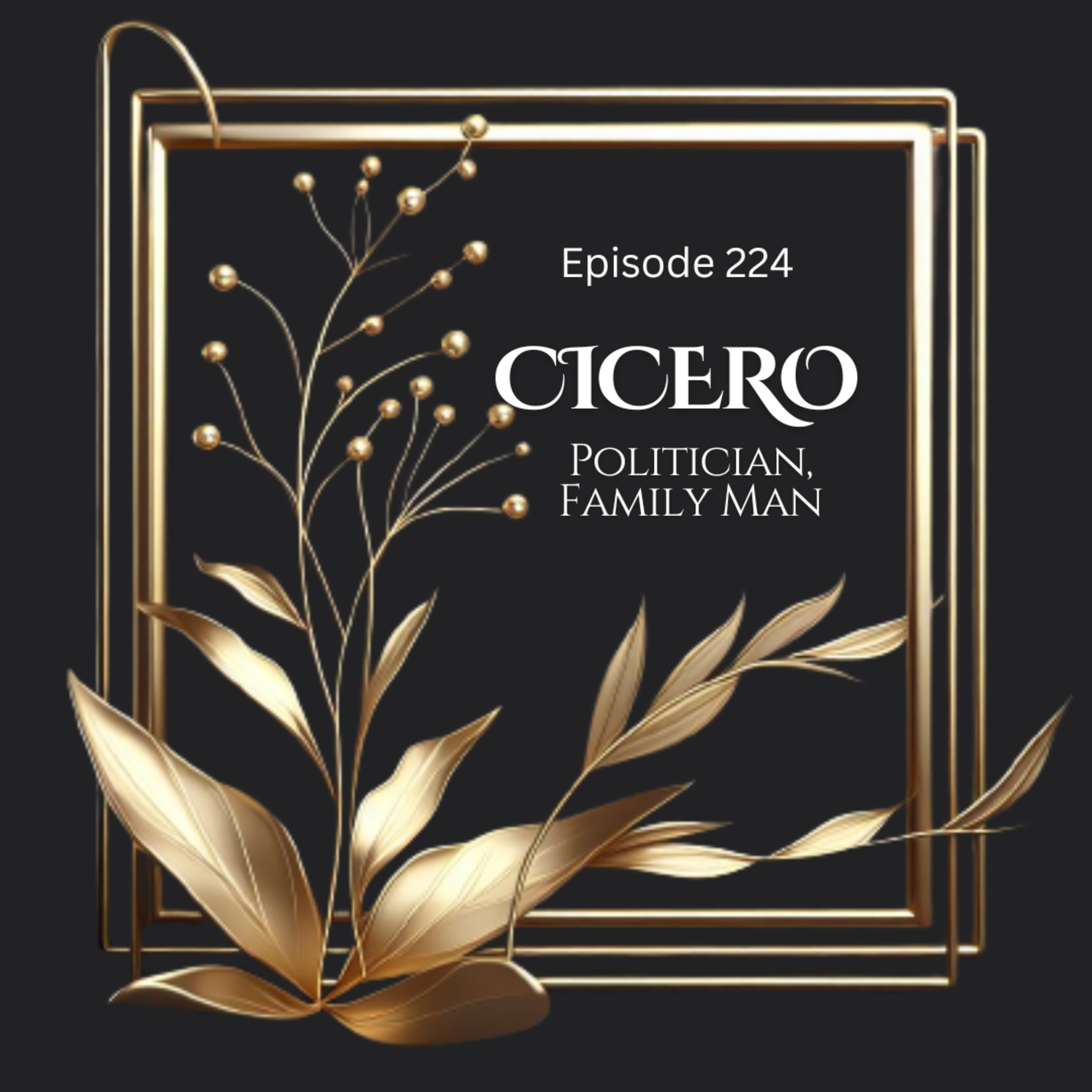 224: Cicero: Politician, Family Man