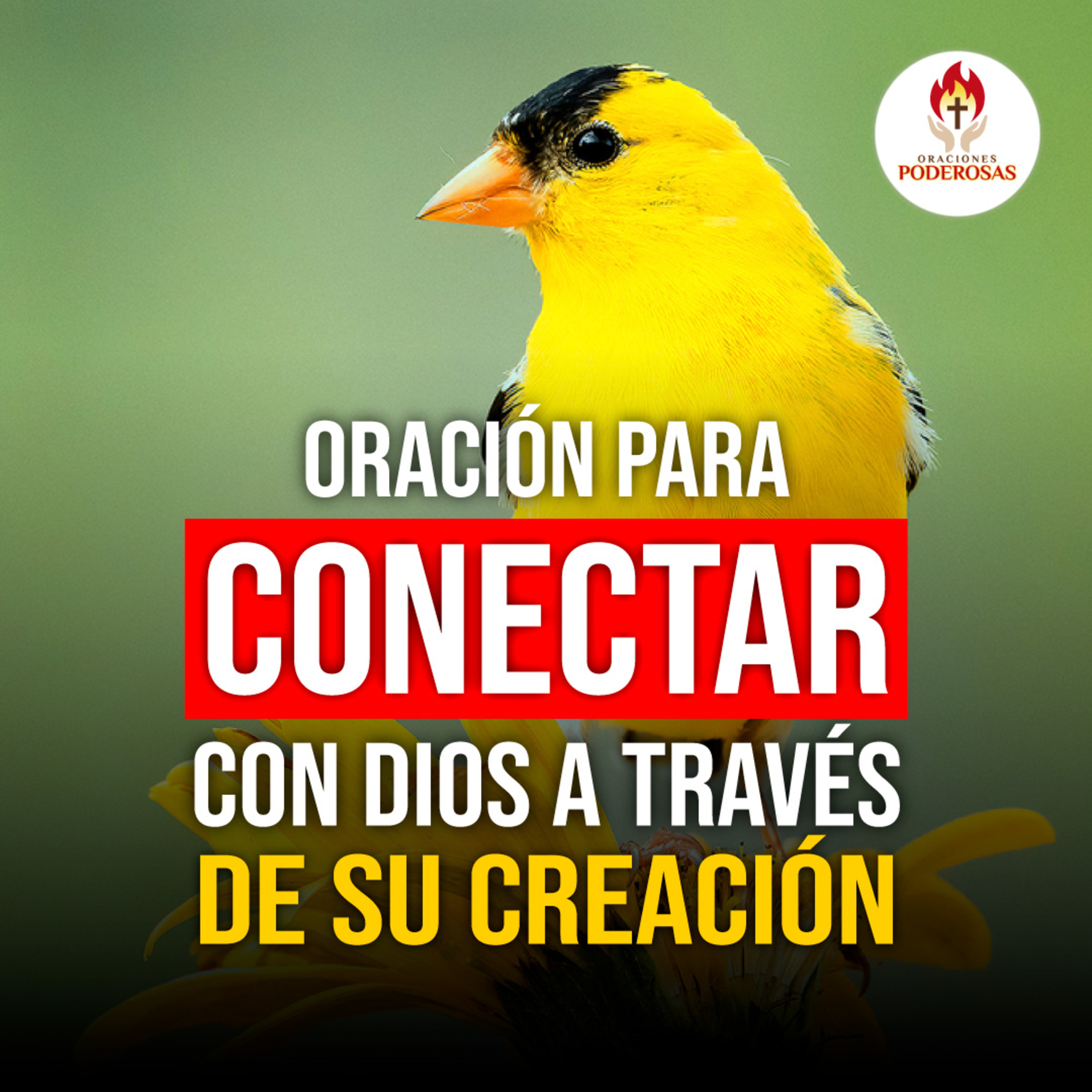 ORACIONES PODEROSAS