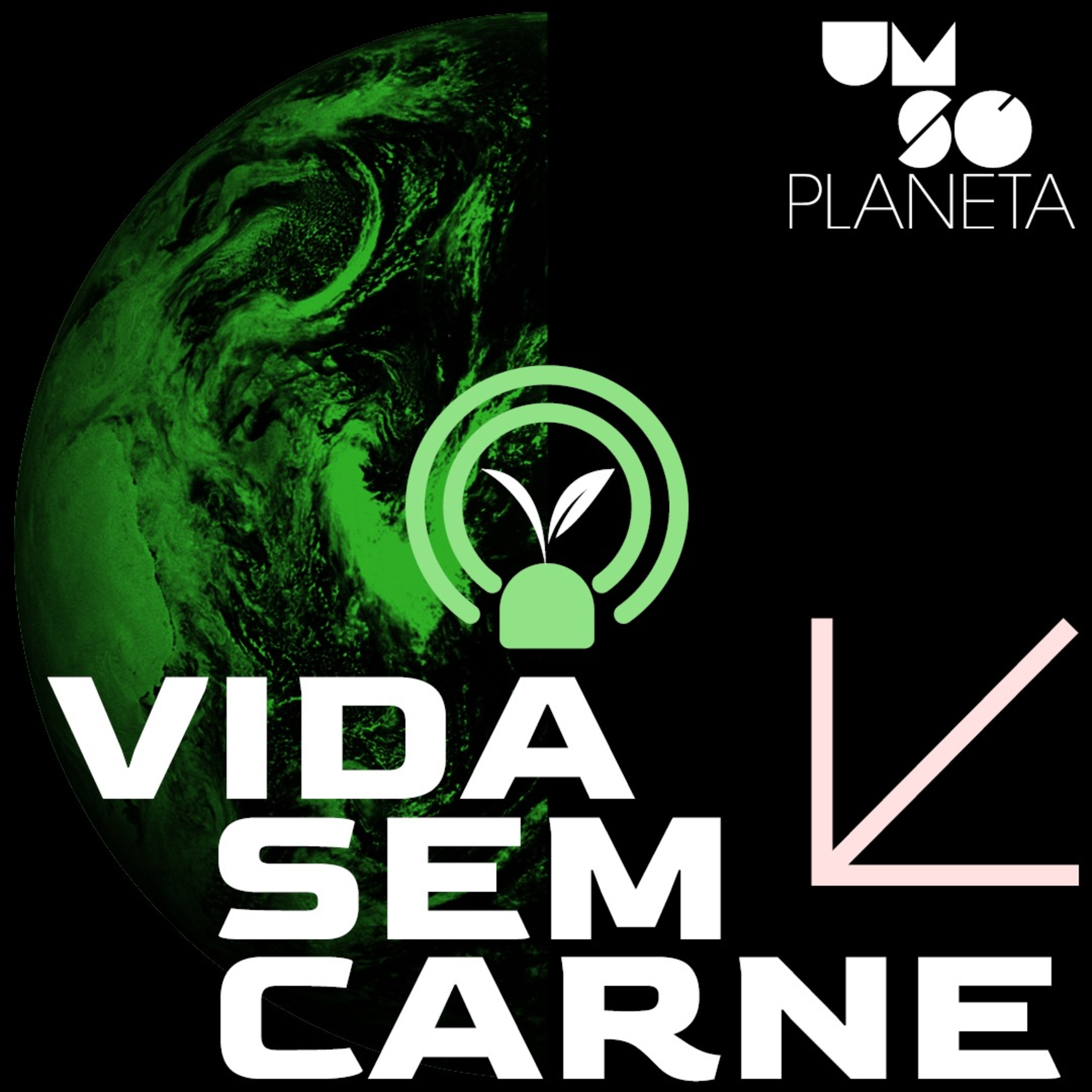 130 | Vida Sem Carne: “A democratização do veganismo acontece pela popularização da comida saudável”, diz Angélica Perez, fundadora da Casa da Coxinha Vegana