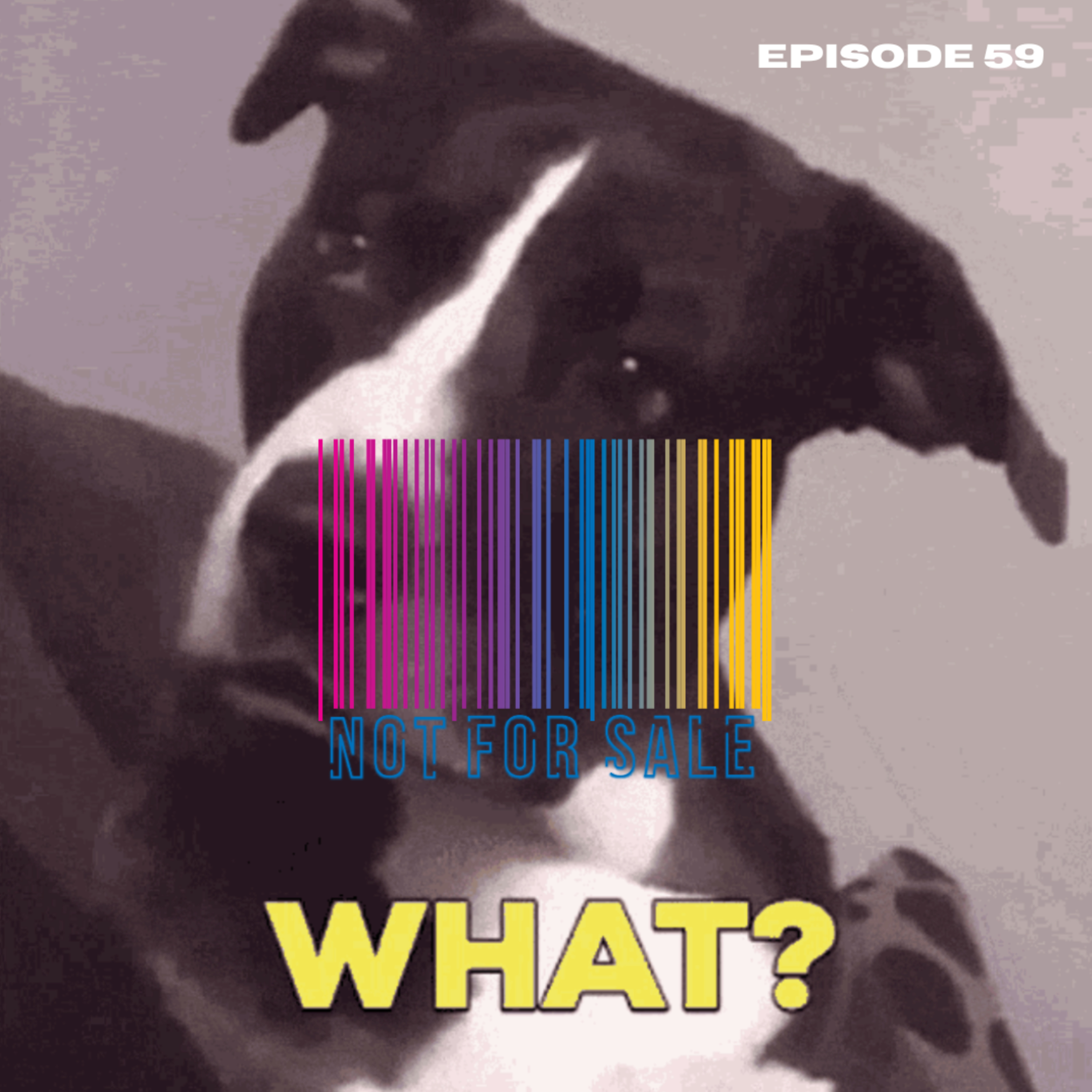 Not For Sale Podcast