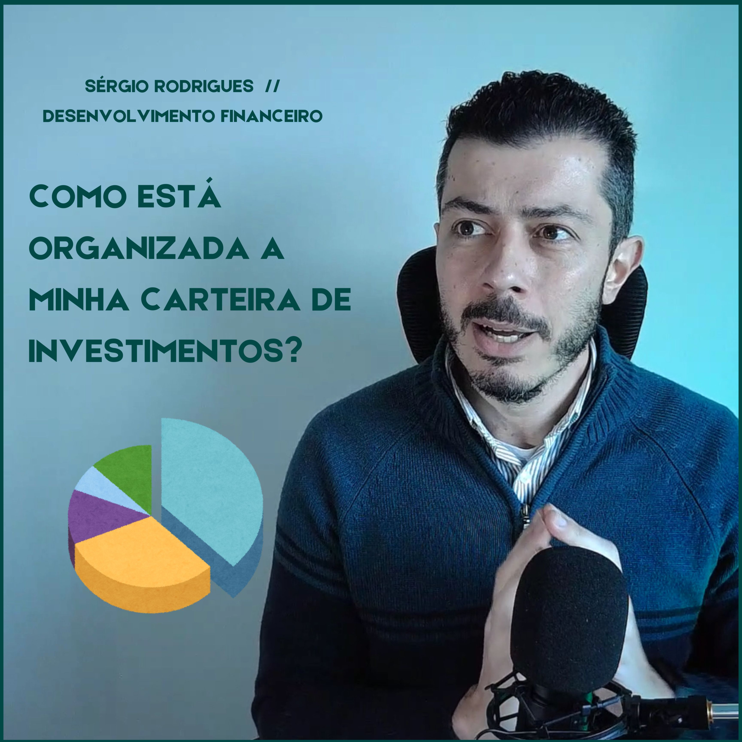 COMO ESTÁ ORGANIZADA A MINHA CARTEIRA DE INVESTIMENTOS? 📊