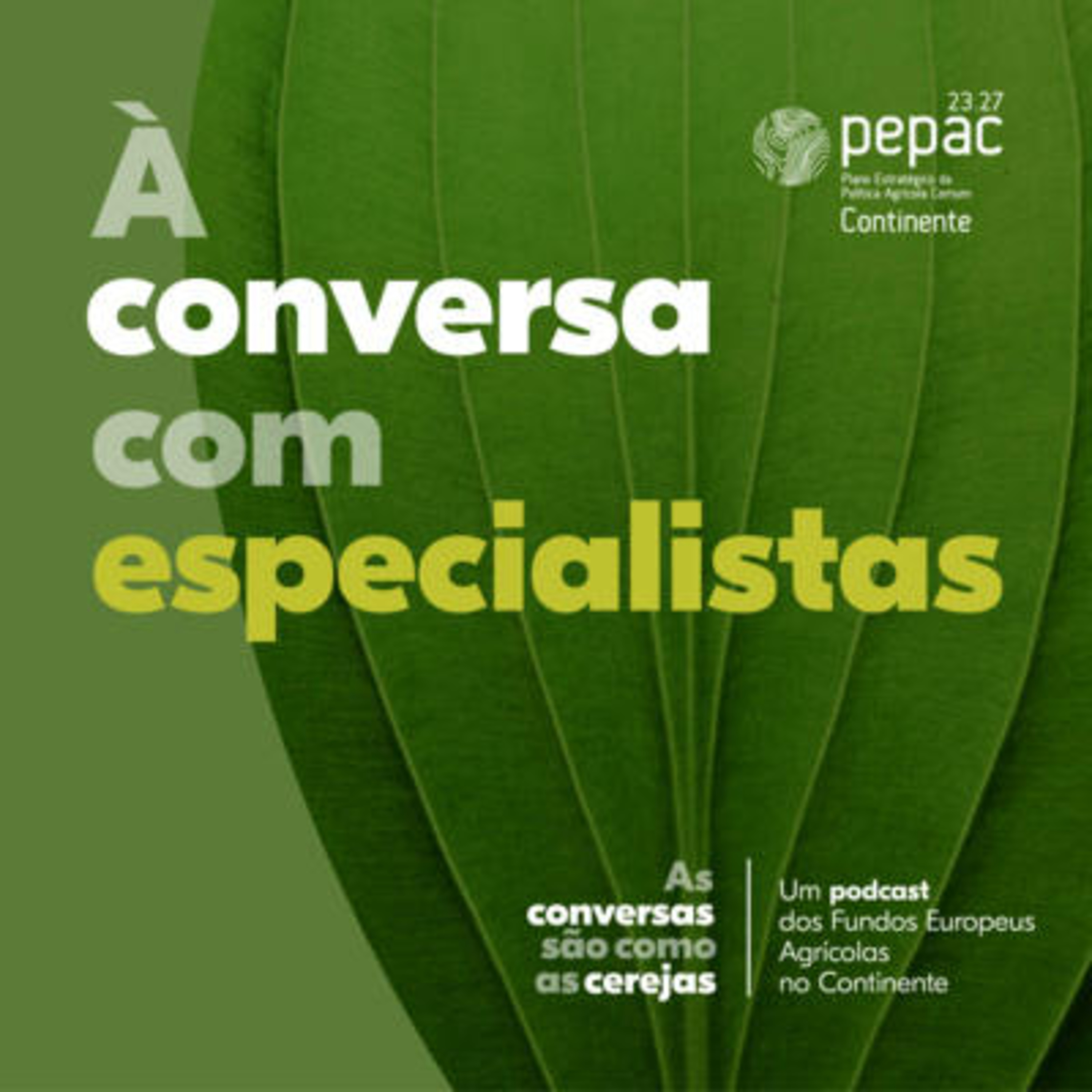 As conversas são como as cerejas