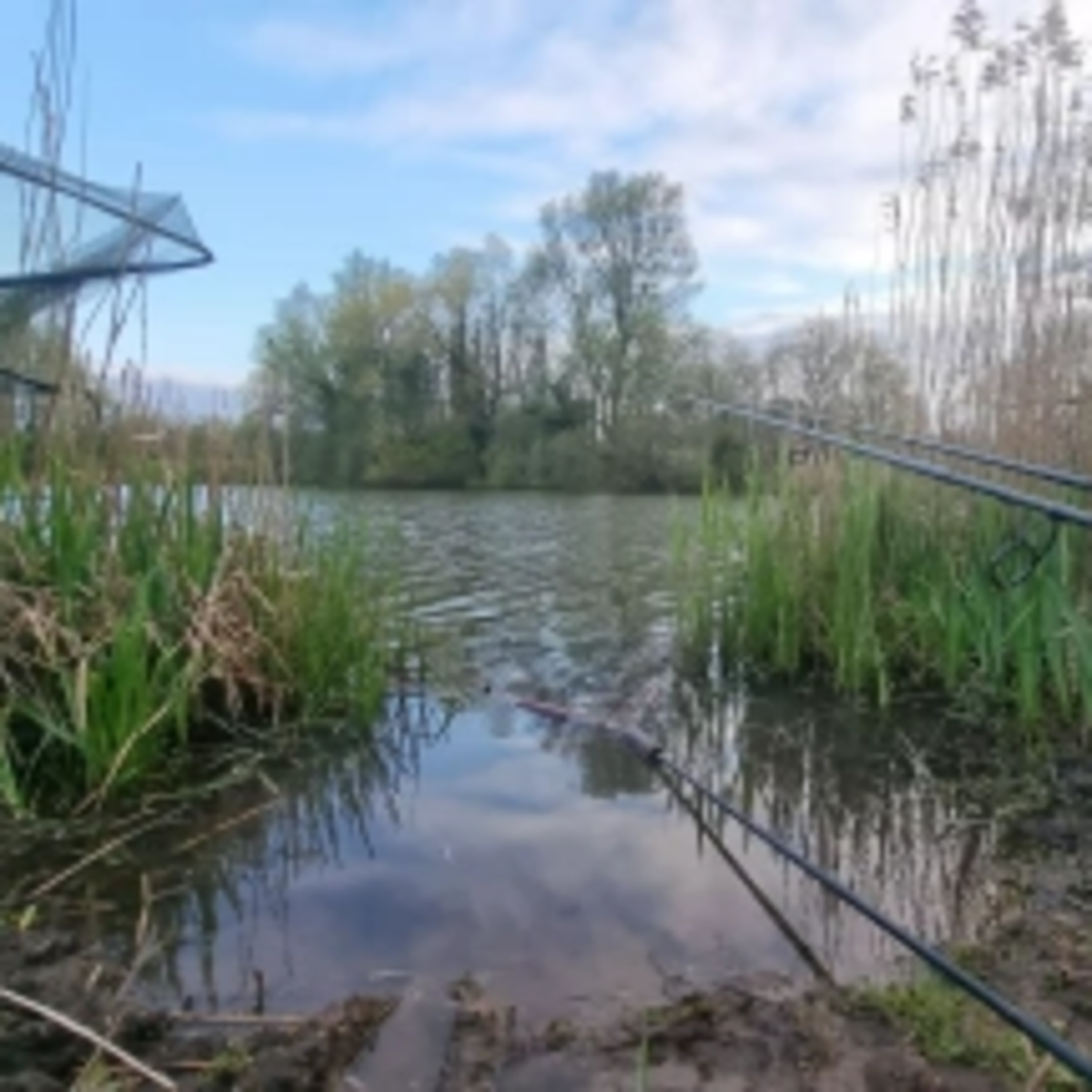 Trip 12 Carp Fishing – 2023 episode artwork