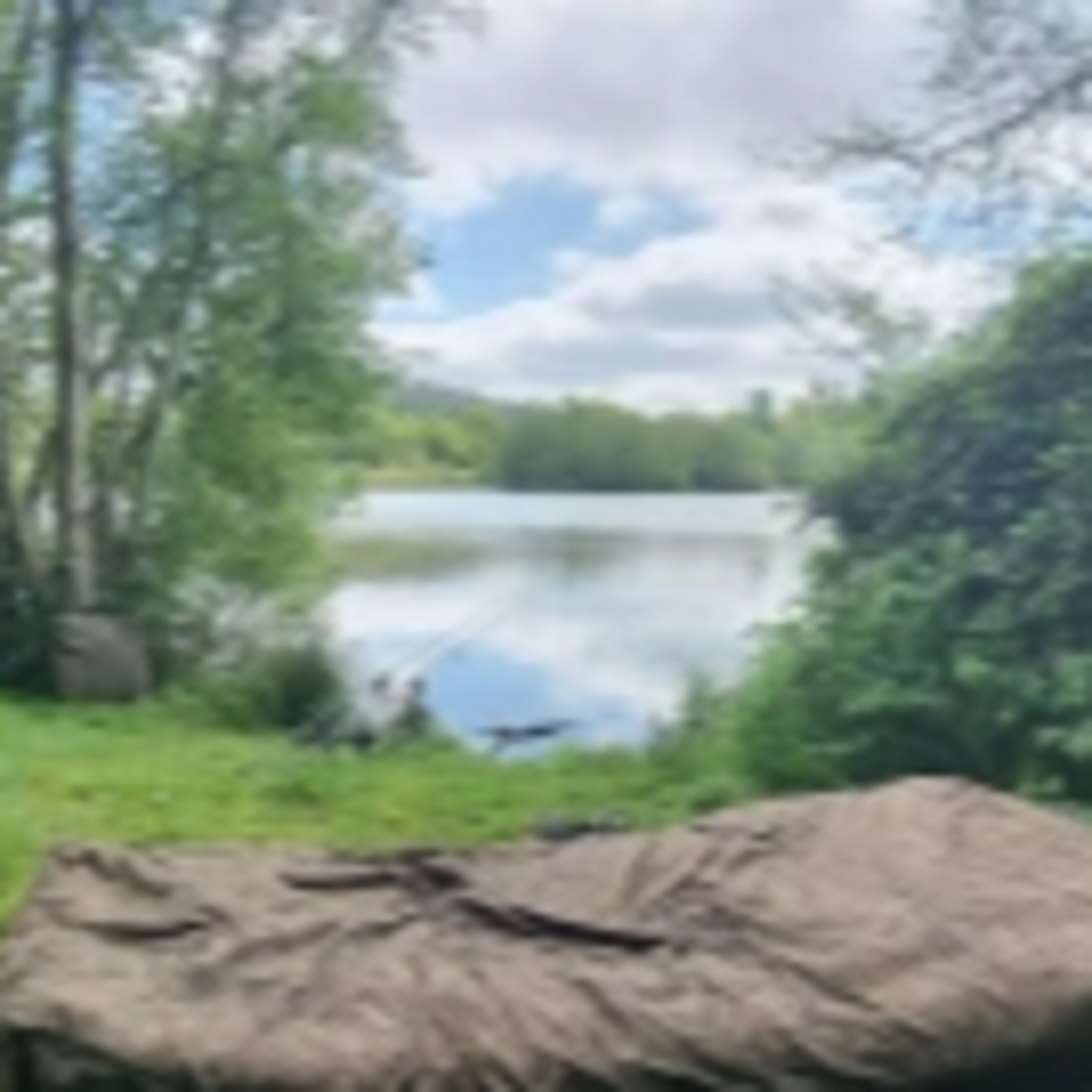 Trip 15 Carp Fishing – 2023 episode artwork