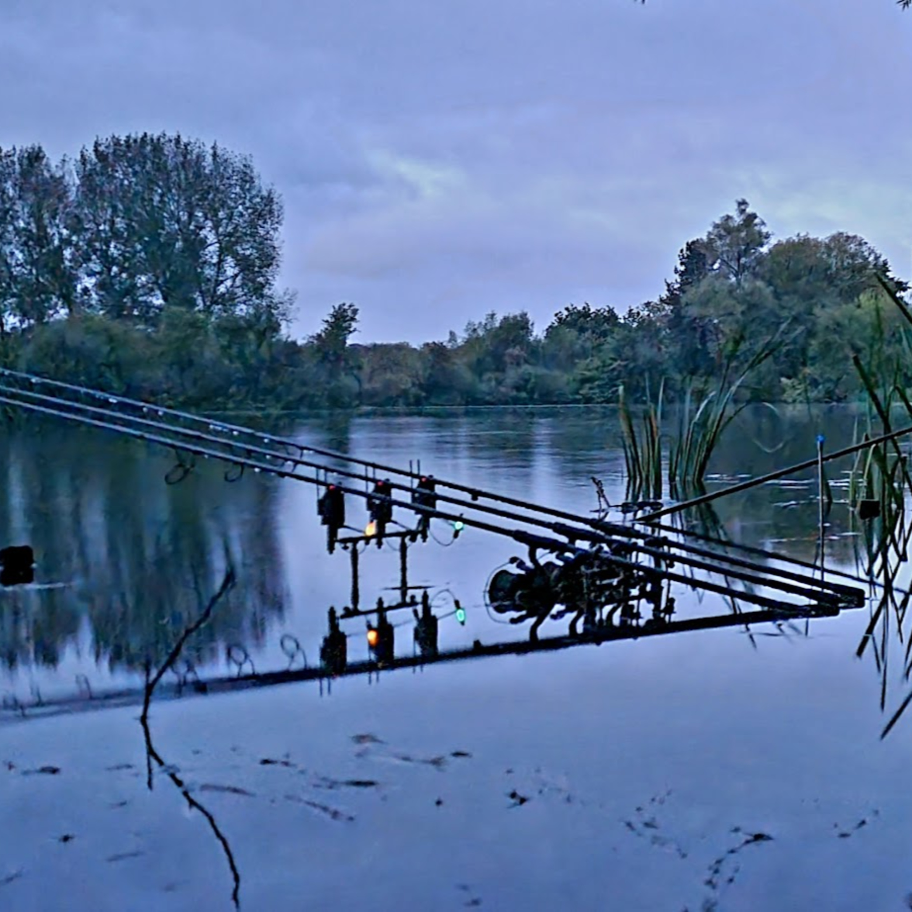 Trip 35 Carp Fishing  - 2023 episode artwork