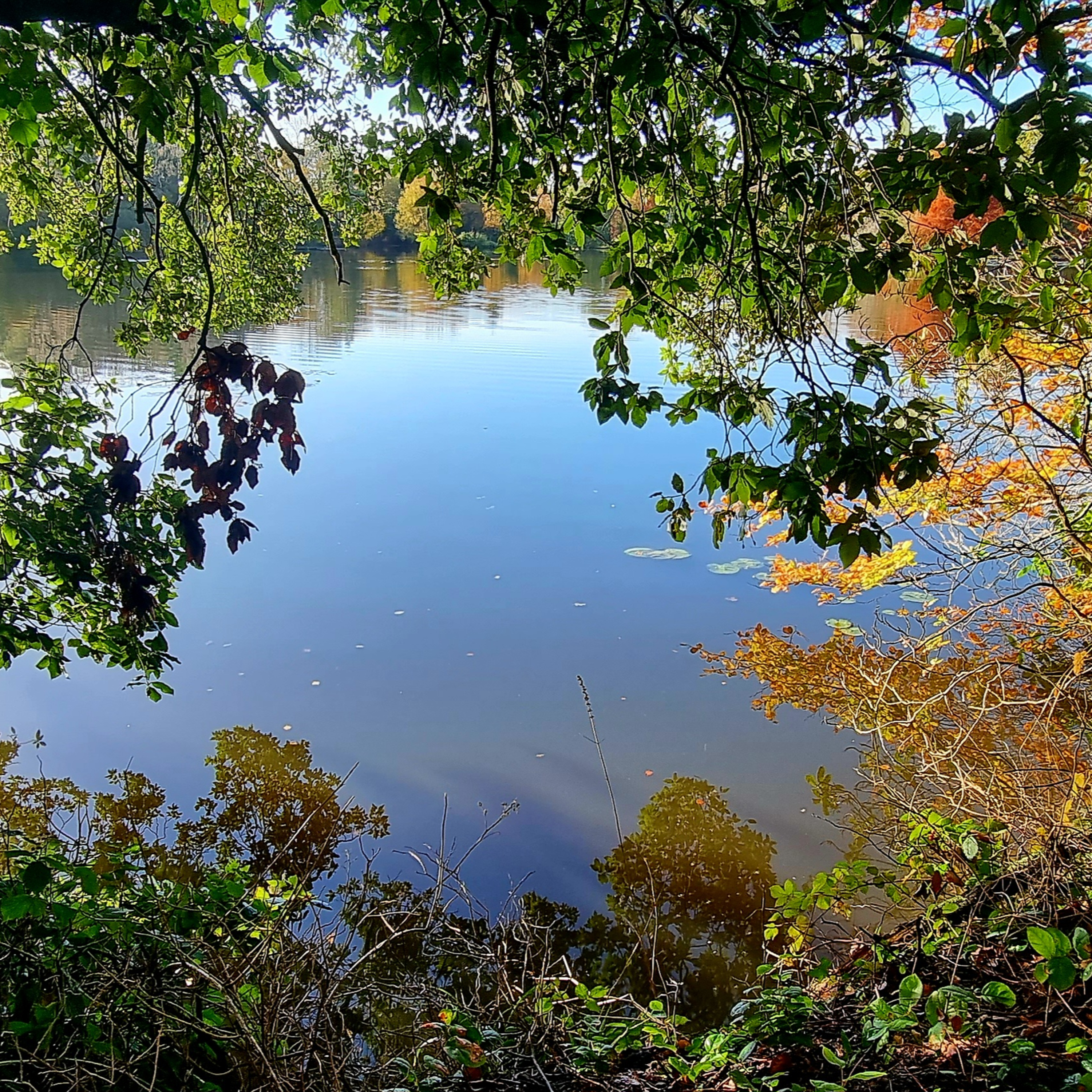 Watch - Trip 39 Carp Fishing - Private Lake - Syndicate fishing fun 2023 @RichardHandel ​ episode artwork