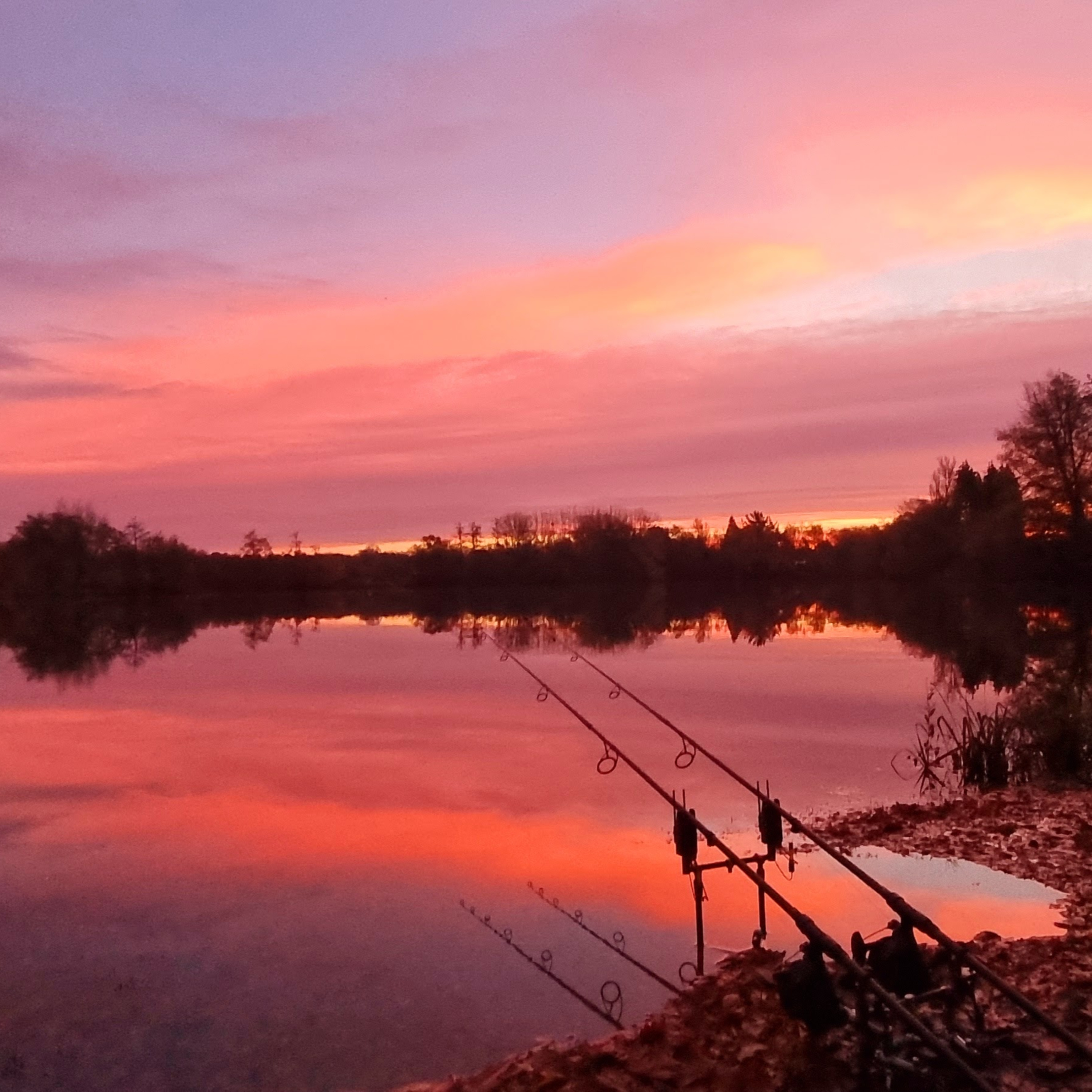 Watch - Trip 40 Carp Fishing - Last of the Autumn colours - P1- Syndicate fishing fun 2023 @RichardHandel ​ episode artwork