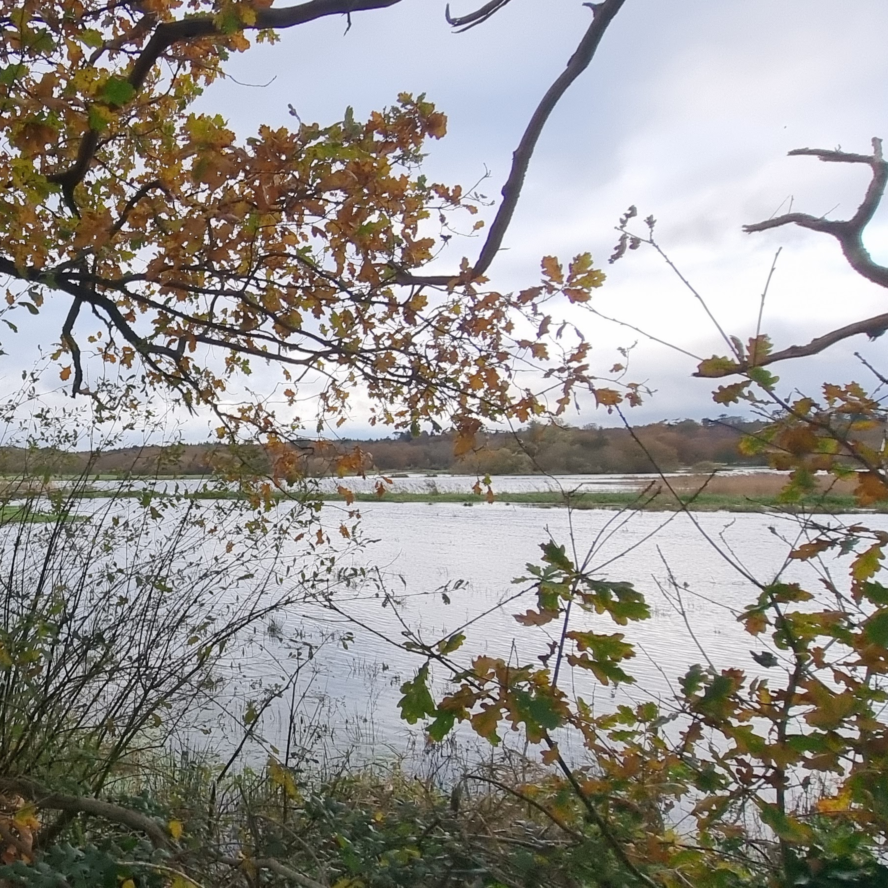 Watch - Trip 40 Carp Fishing - P2 - Cold Times - Syndicate fishing fun 2023 @RichardHandel ​ episode artwork