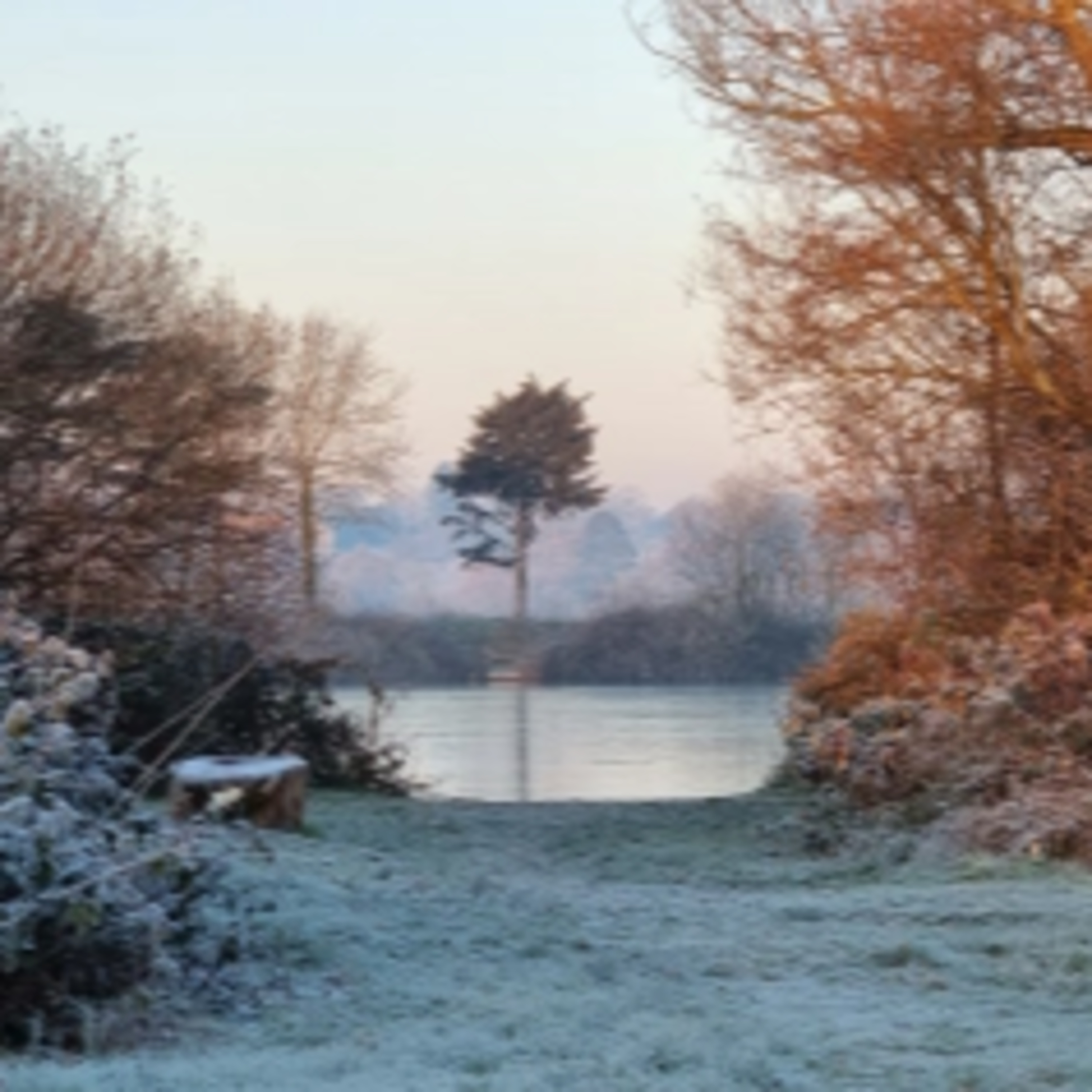 The Silent Beauty Beneath the Water - Exploring the World of Winter Carp Fishing episode artwork