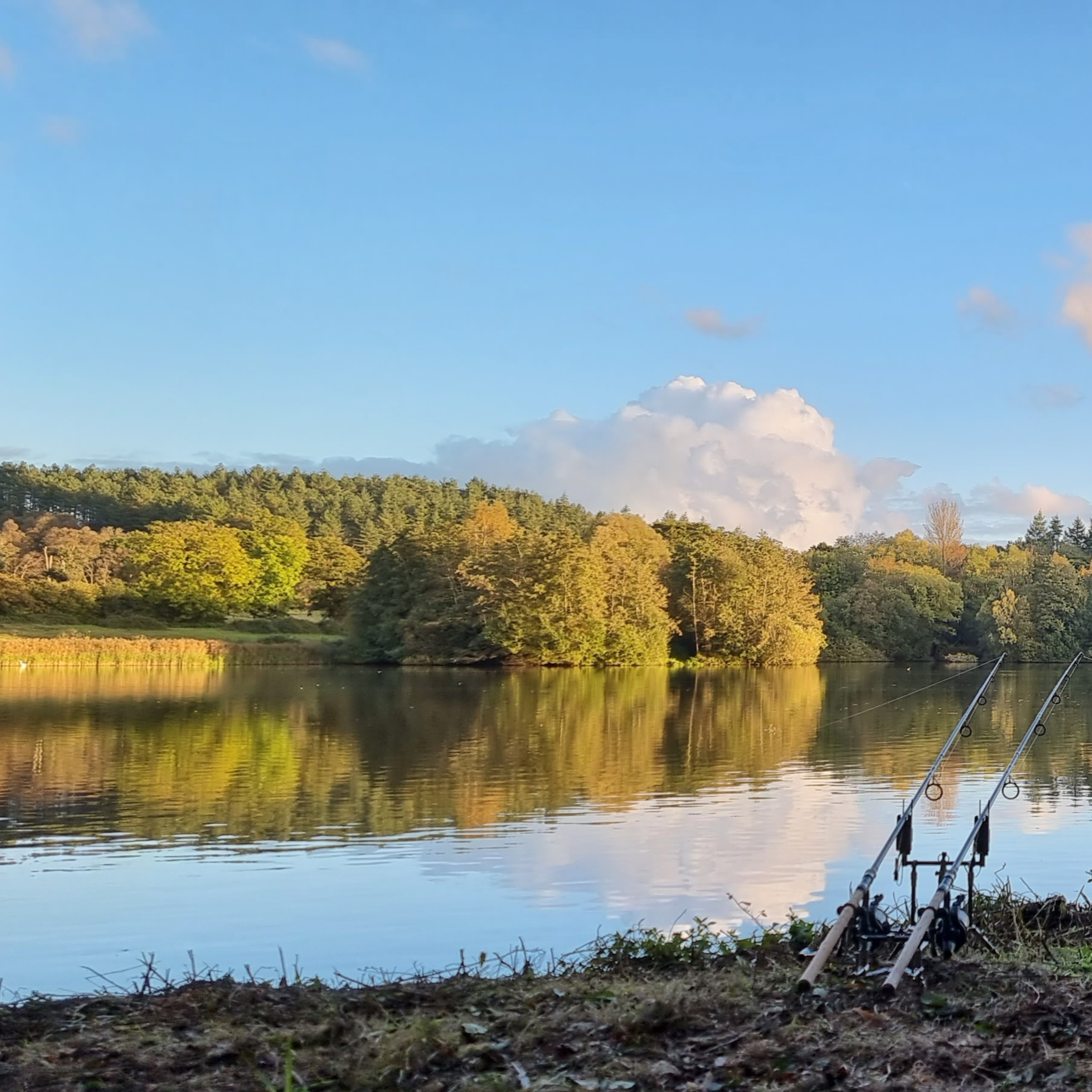 October 2023- A Memorable Fishing Experience at Airfield Lake episode artwork