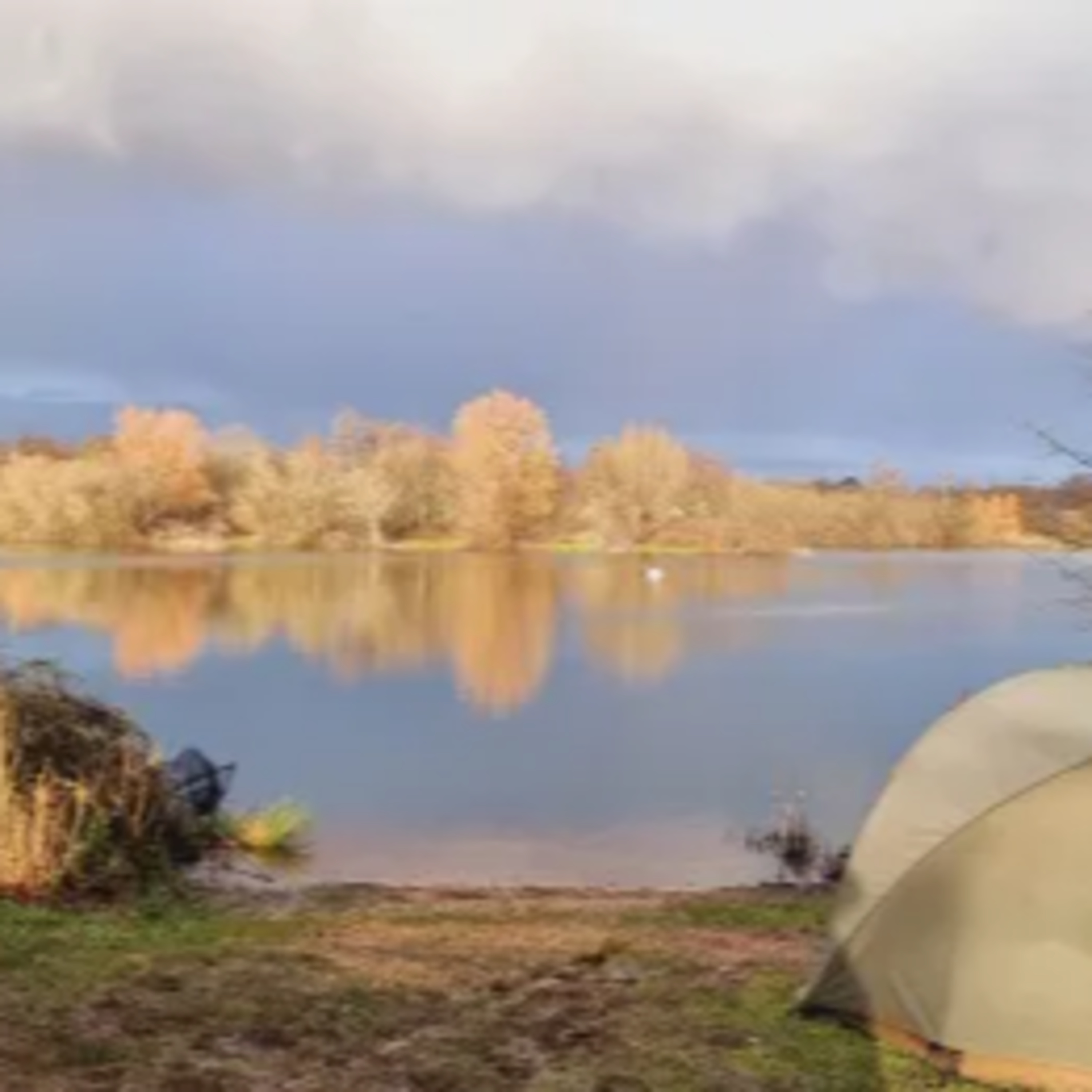 “A Night to Remember: Carp Fishing Triumphs and New Personal Bests” episode artwork