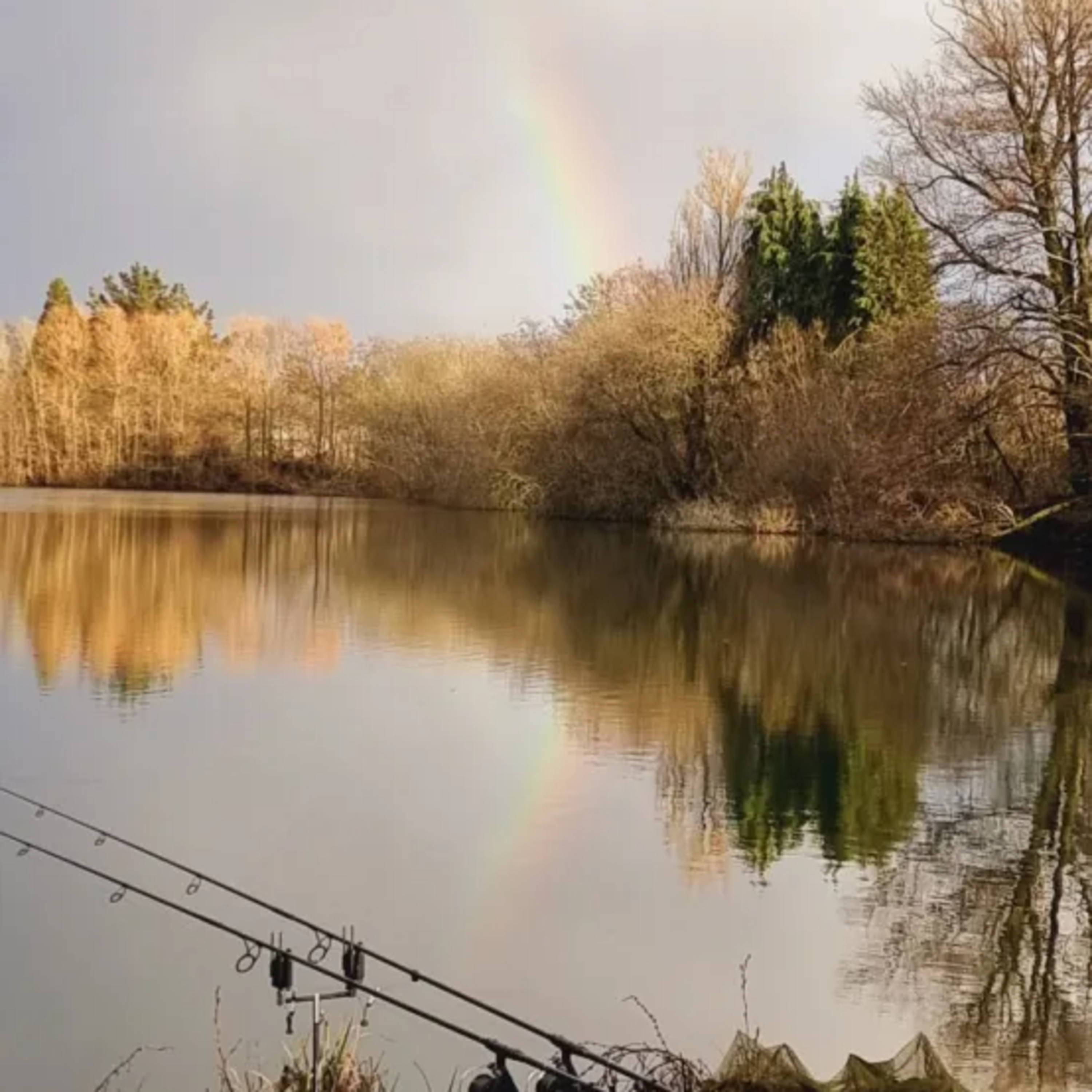 A Carp Angler’s Journey: 40 Years of Memories and Evolution episode artwork