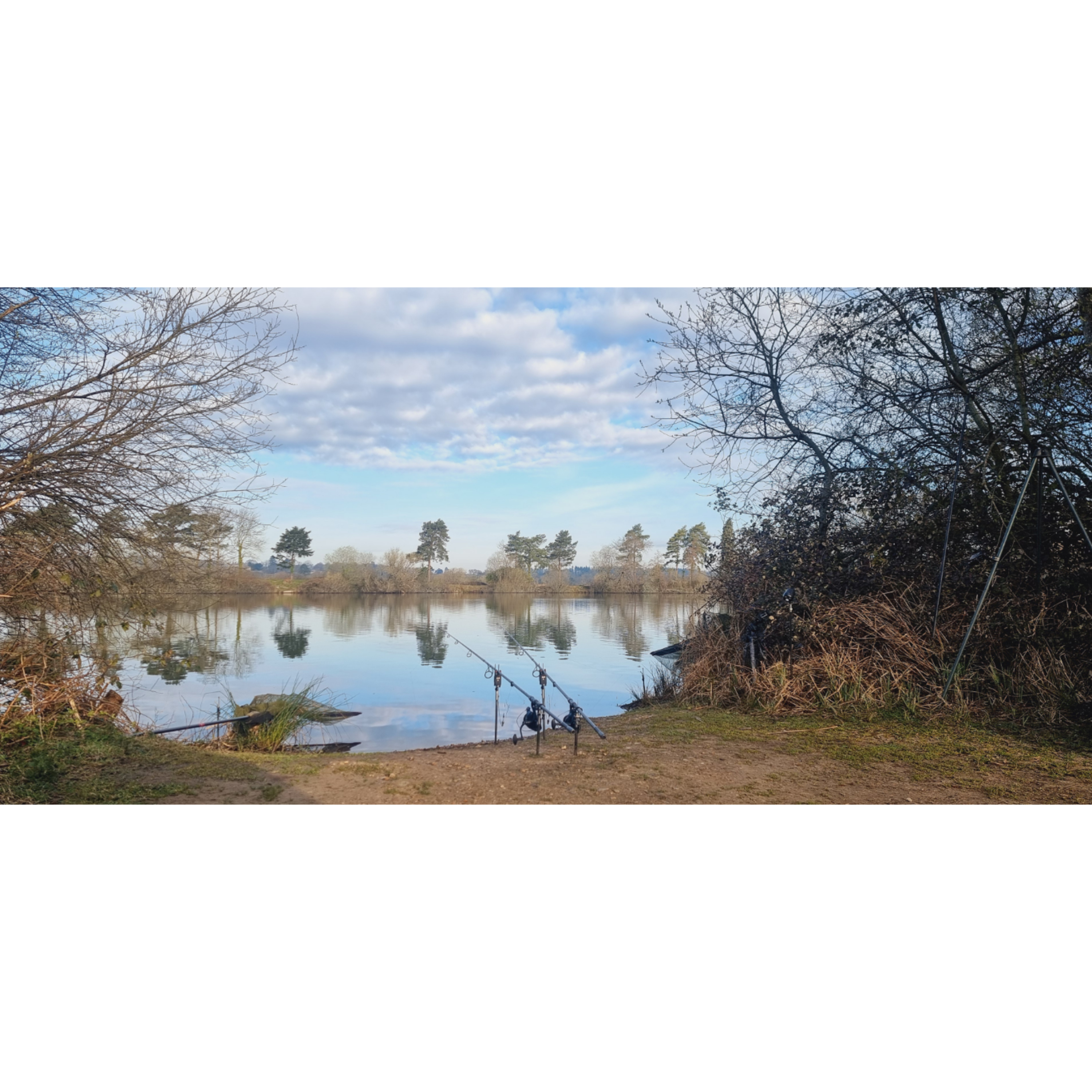 Live From The Bank Trip 9 Carp Fishing - Part 2 - 2025 episode artwork