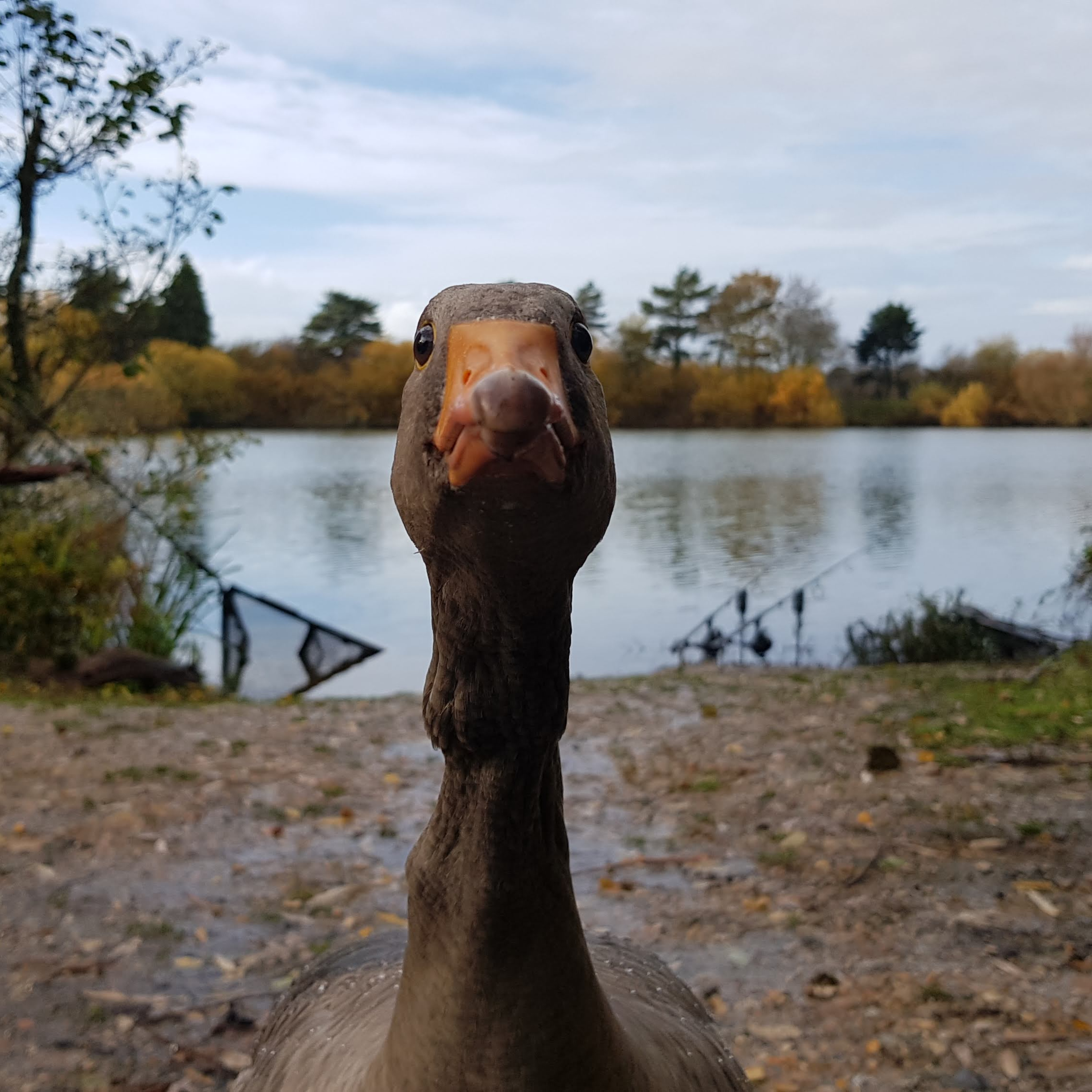 Watch - Trip 9 Carp Fishing 2025 episode artwork