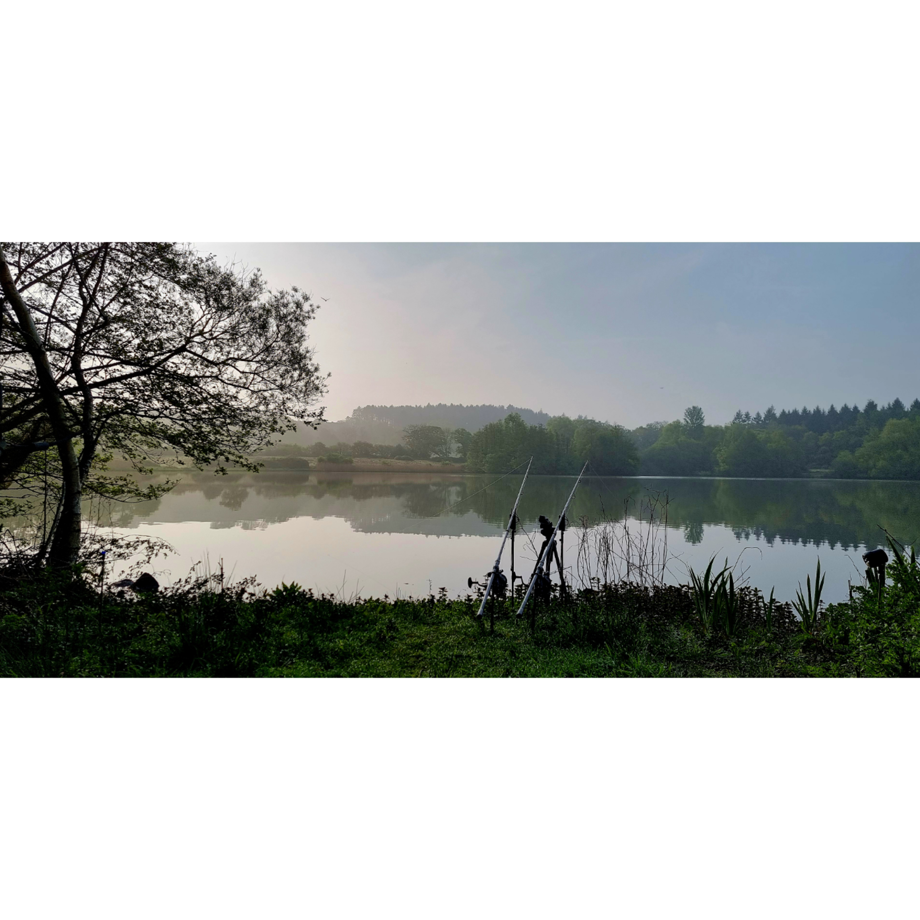 Live From The Bank Trip 14 Carp Fishing 2025 - Part 1 episode artwork