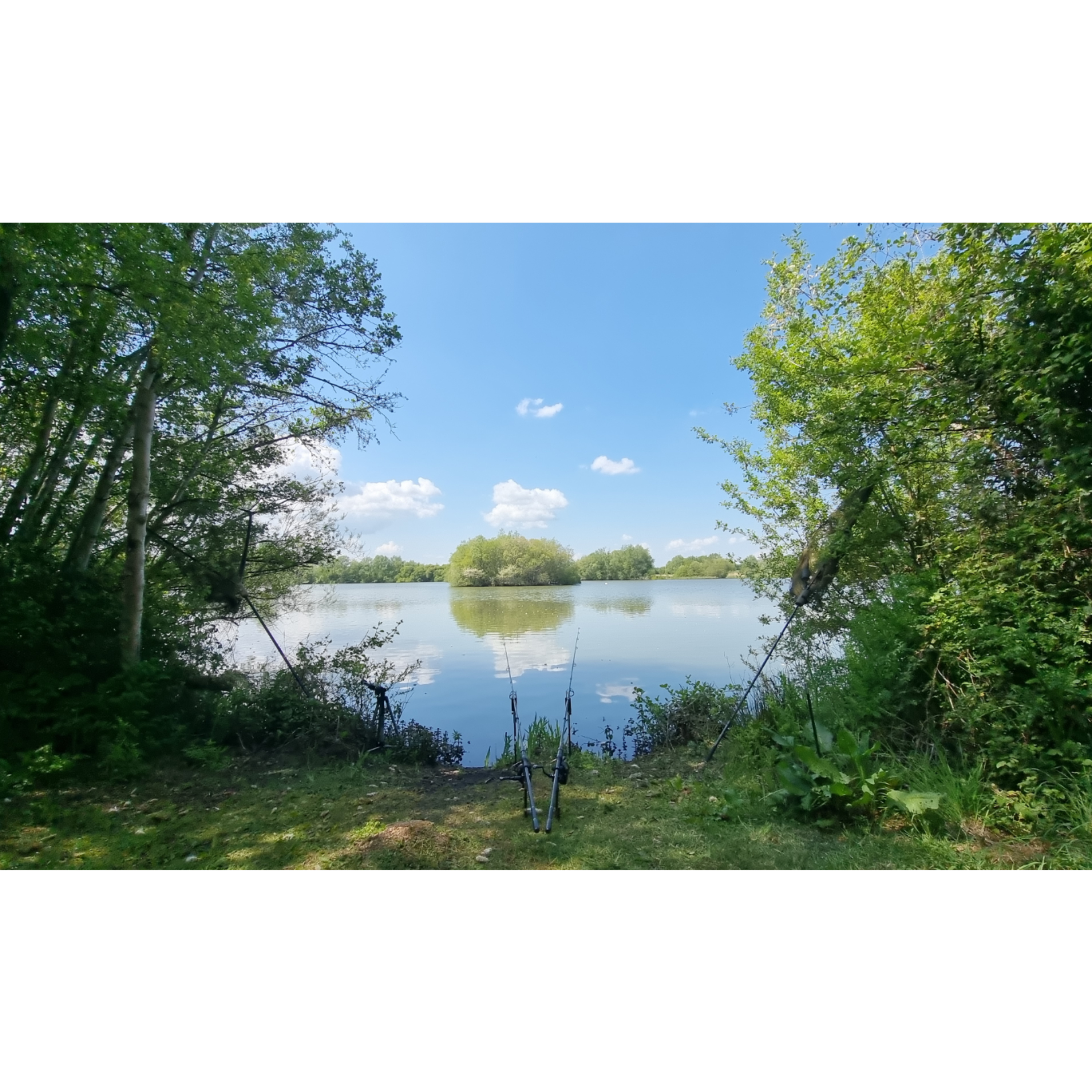 Live From The Bank Trip 17 Carp Fishing 2025 - Part 1 episode artwork