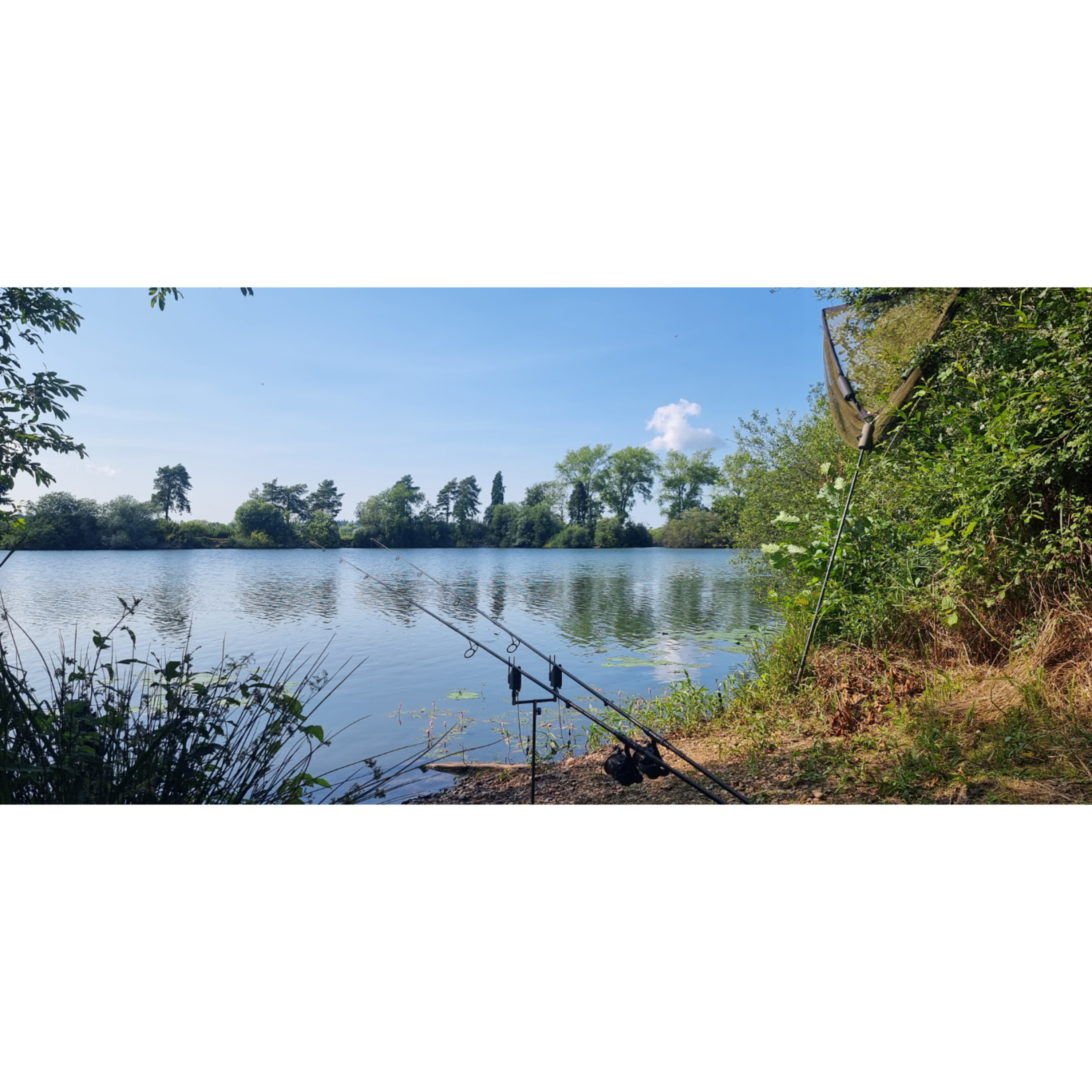 Live From The Bank Trip 20 Carp Fishing 2025 - Part 1 episode artwork