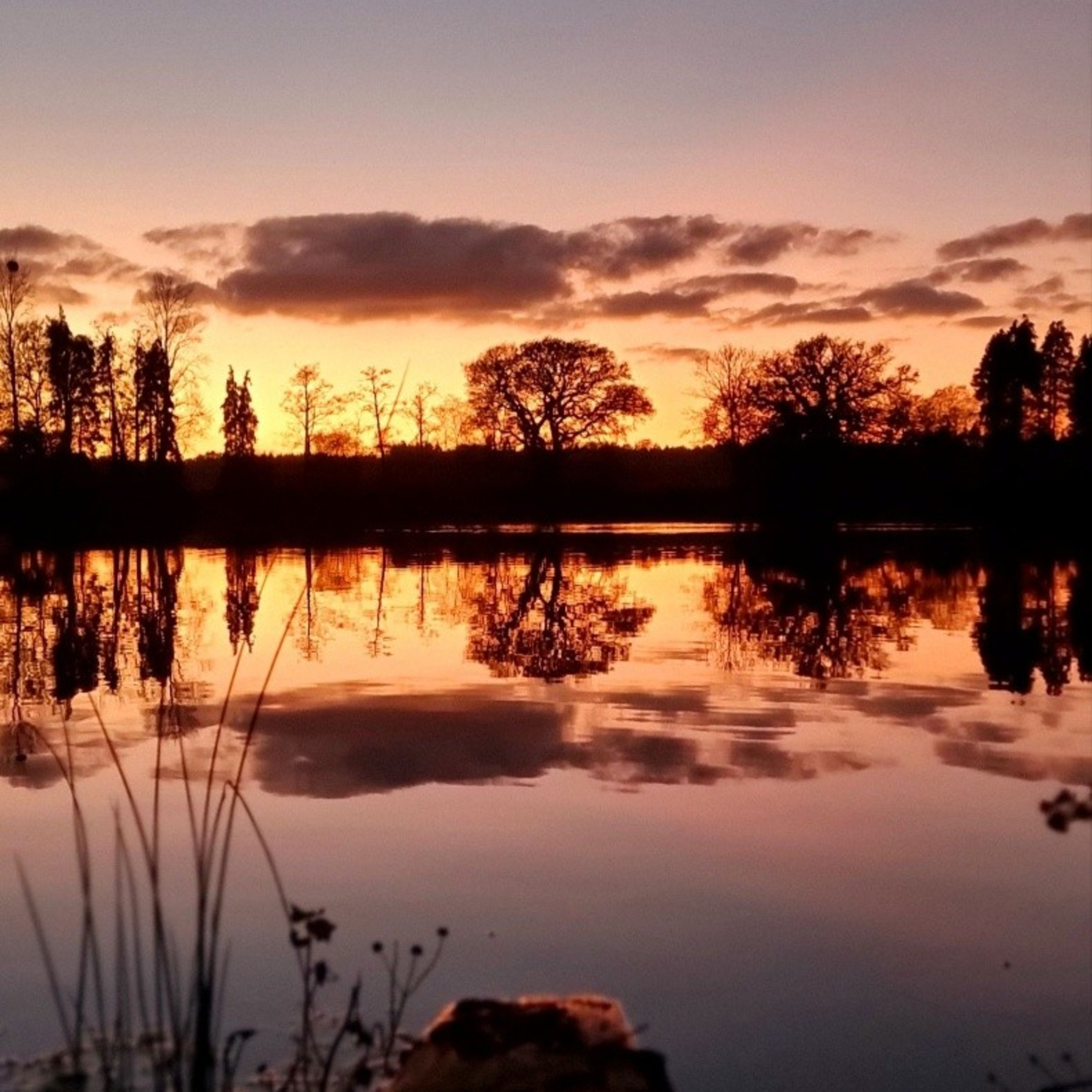 Trip 37 Carp Fishing ( A Quick Change of Plans) episode artwork