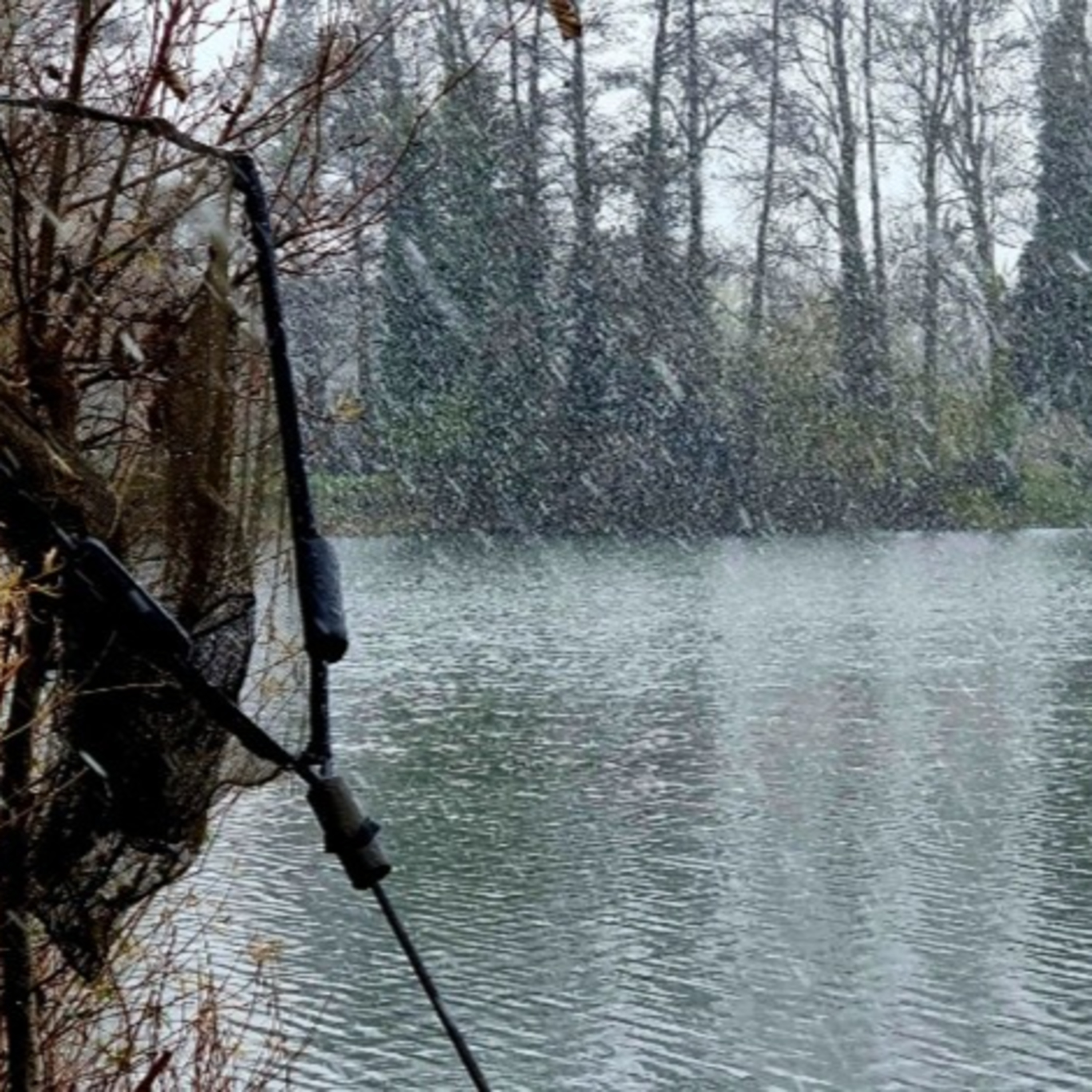 BRUTAL Northerly Winds & Freezing Nights! Winter Carp Tactics Put to the Test ❄️🎣)  episode artwork