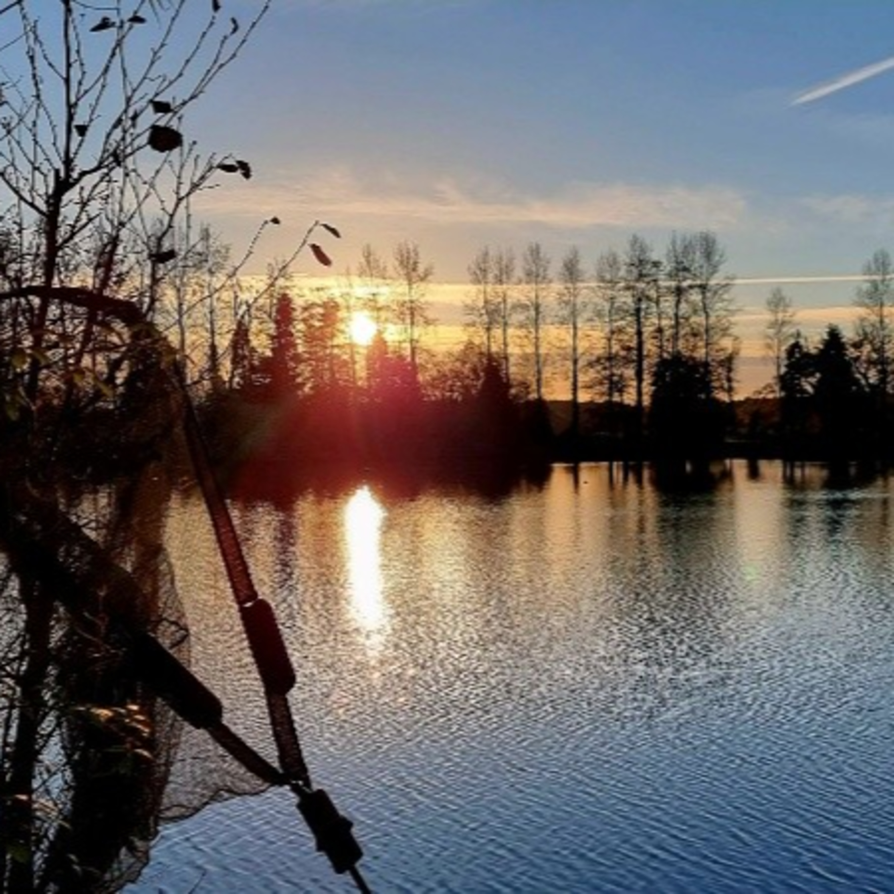 December Carp Fishing Challenge – Pads Dying, Anglers Gone, Carp Showing!  episode artwork