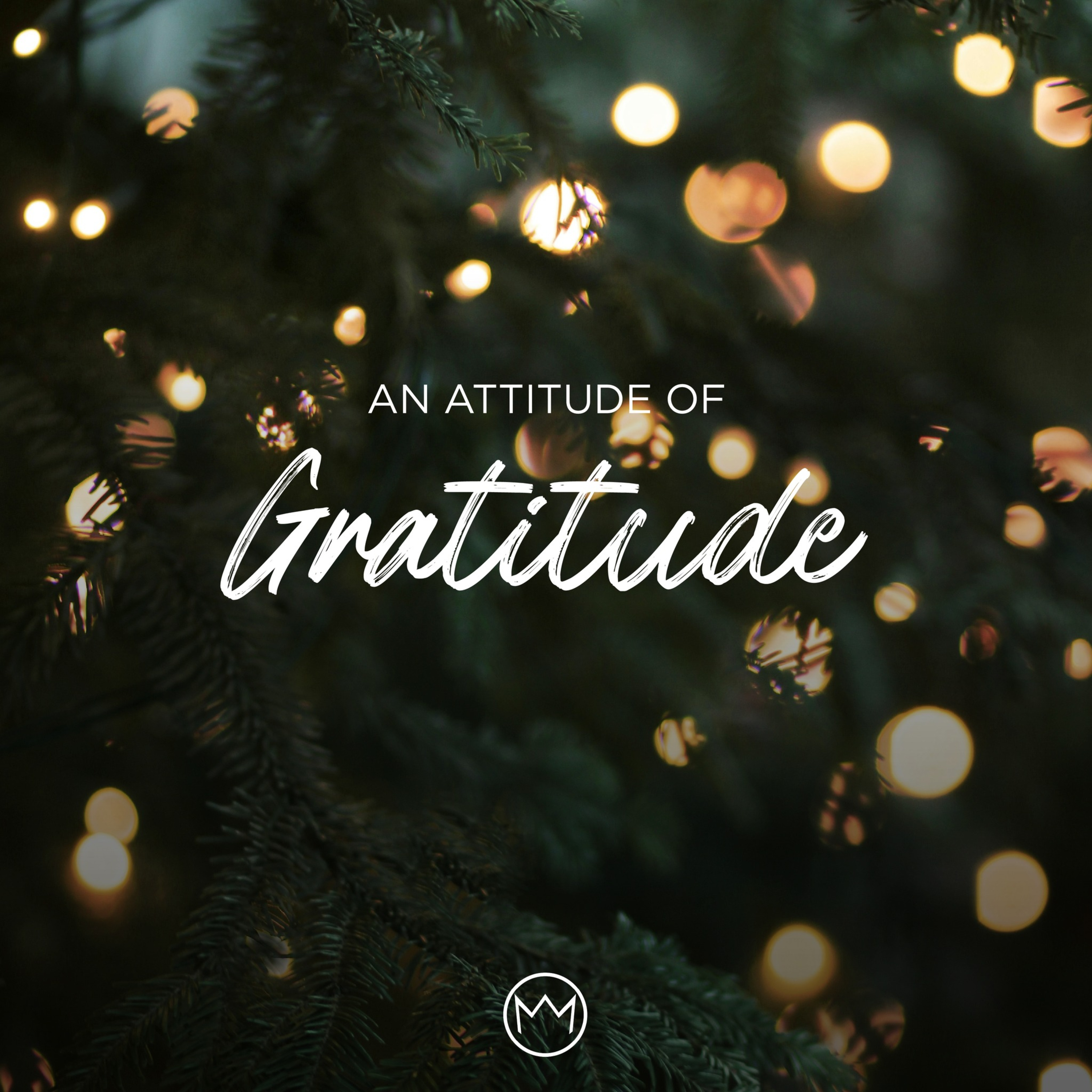 14 Dec 2025 An Attitude Of Gratitude