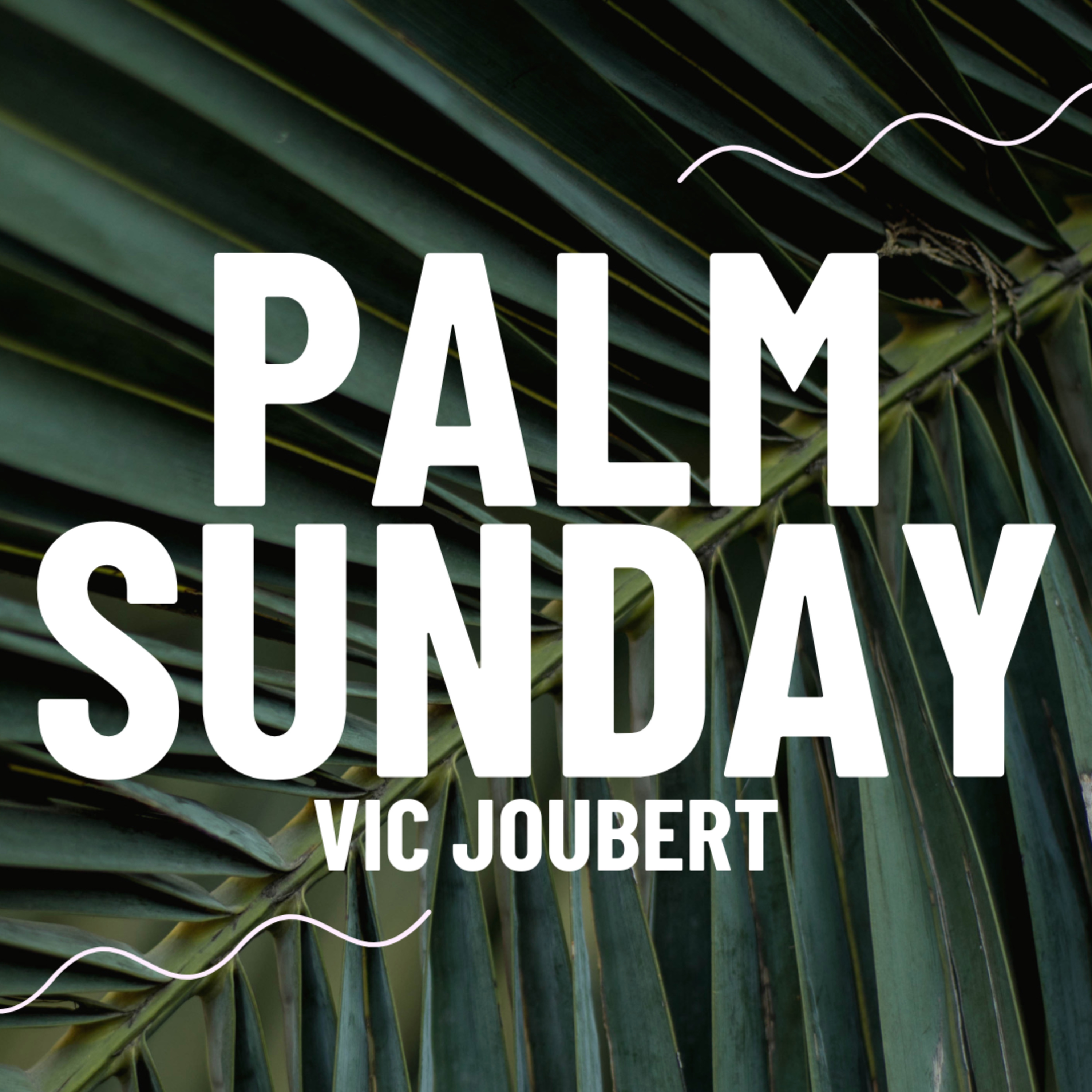 Palm Sunday - Vic Joubert episode artwork