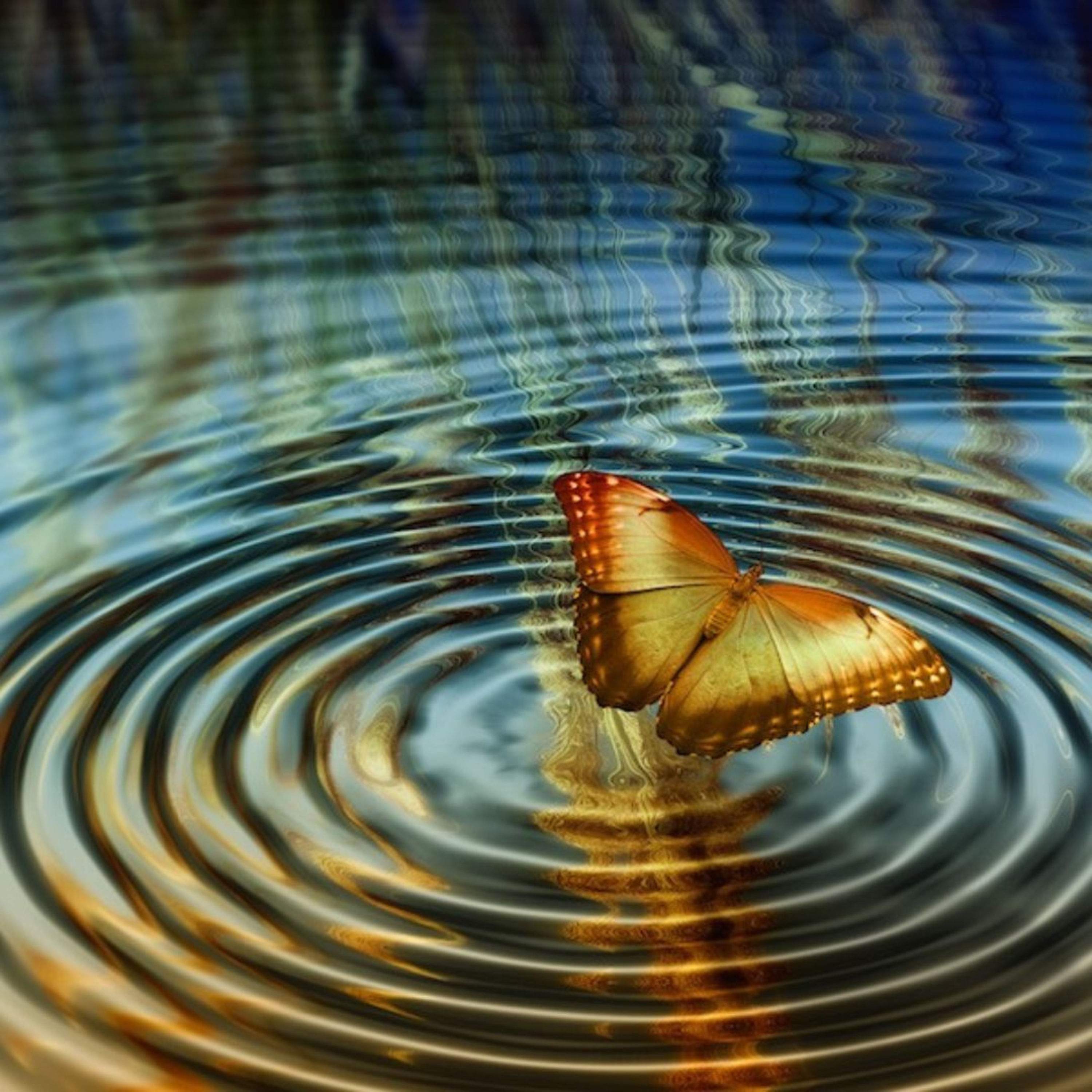 Autobiography Chapter 17, Part 2: Sri Yukteswar and the butterfly effect episode artwork