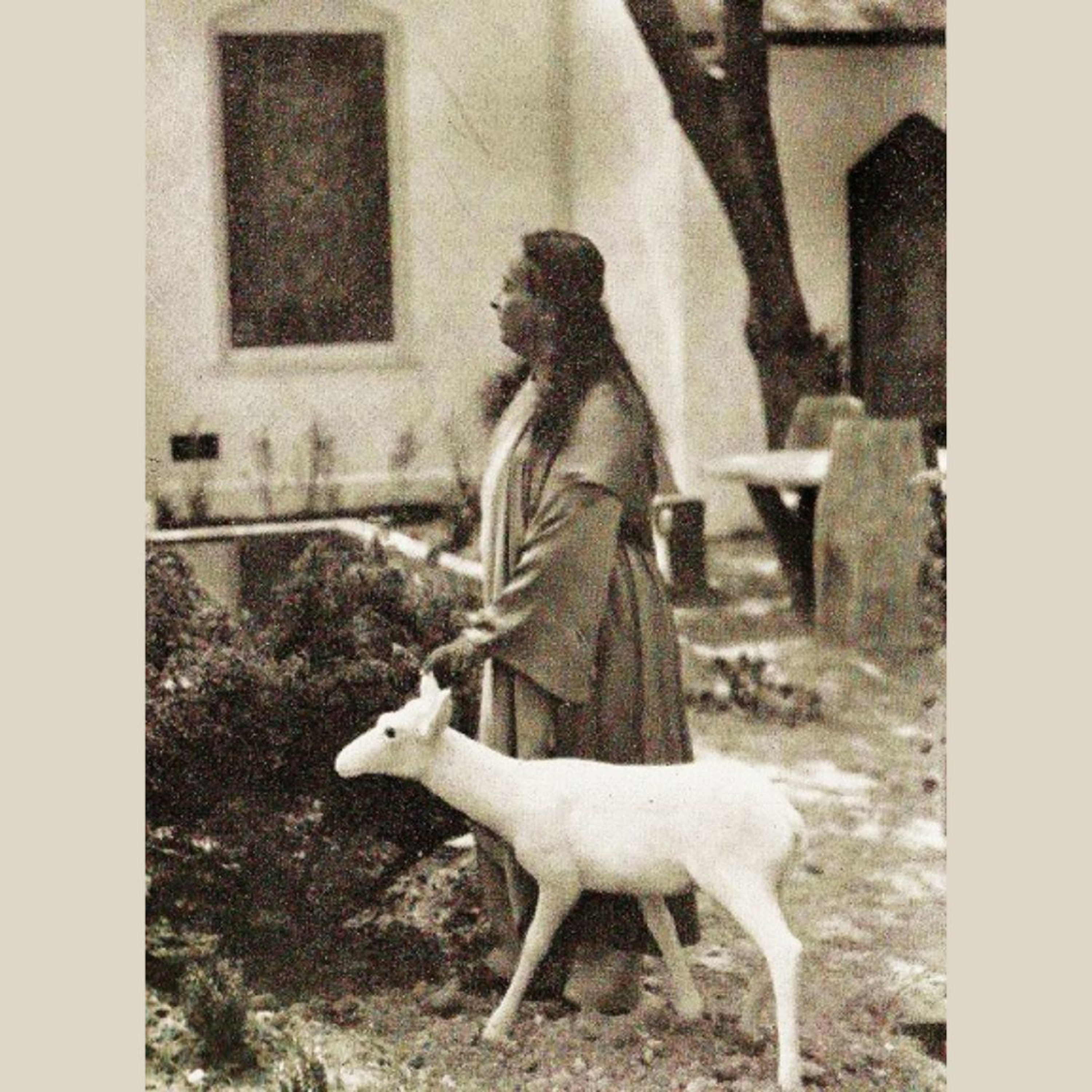 Autobiography Chapter 27, Part 3: Yogananda’s teachings on life and death episode artwork