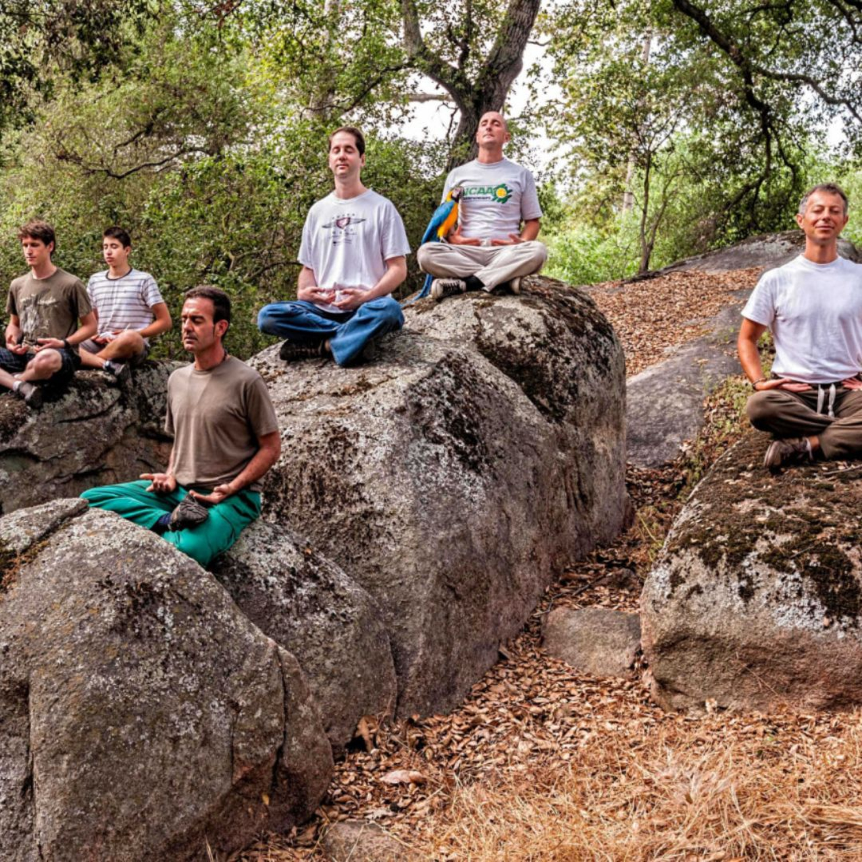 Autobiography Chapter 28, Part 1: Yogananda’s morbid field trip with Kashi et al  episode artwork