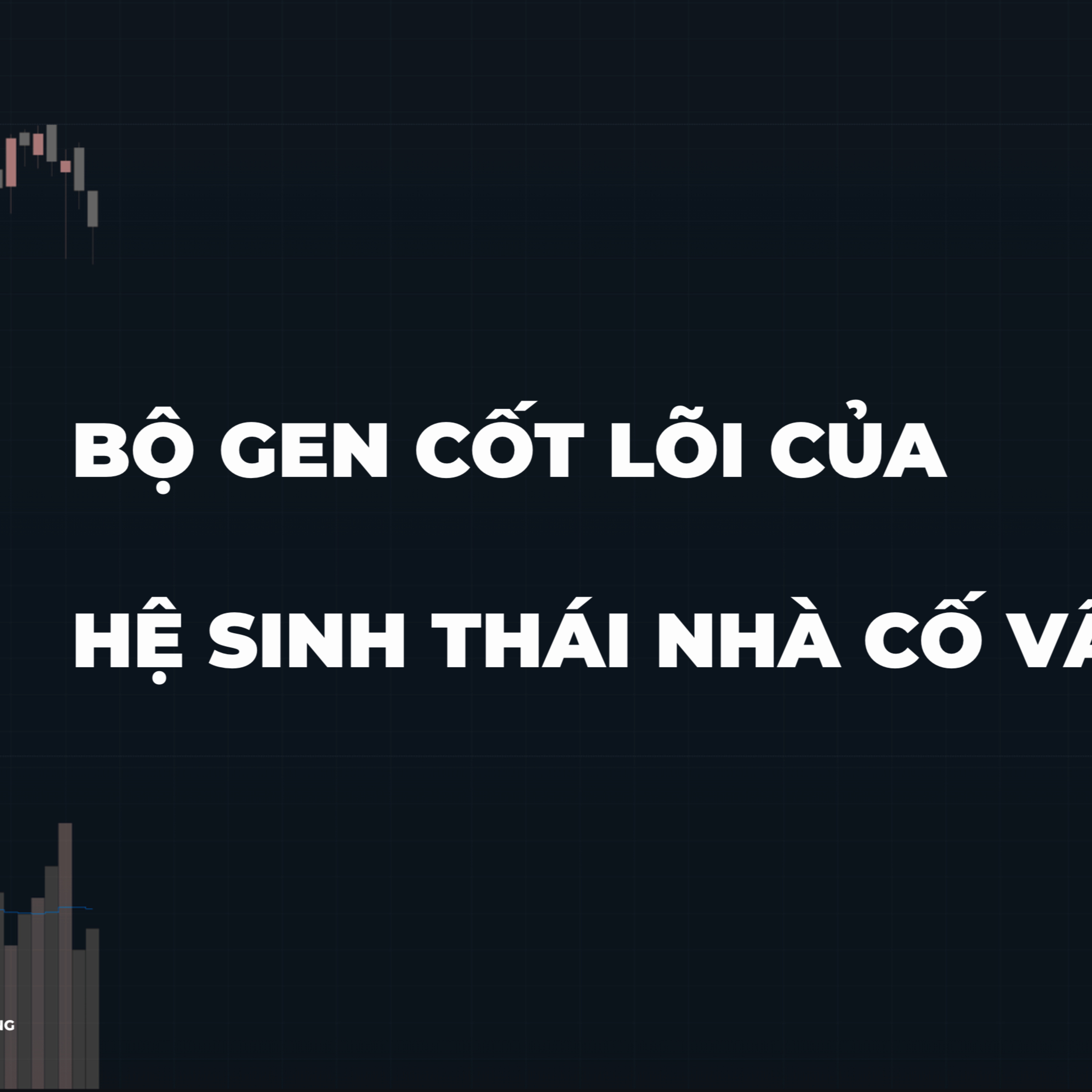 6 ĐOẠN GEN CỦA NHÀ ĐẦU TƯ HỆ SINH THÁI NHÀ CỐ VẤN GIÀ