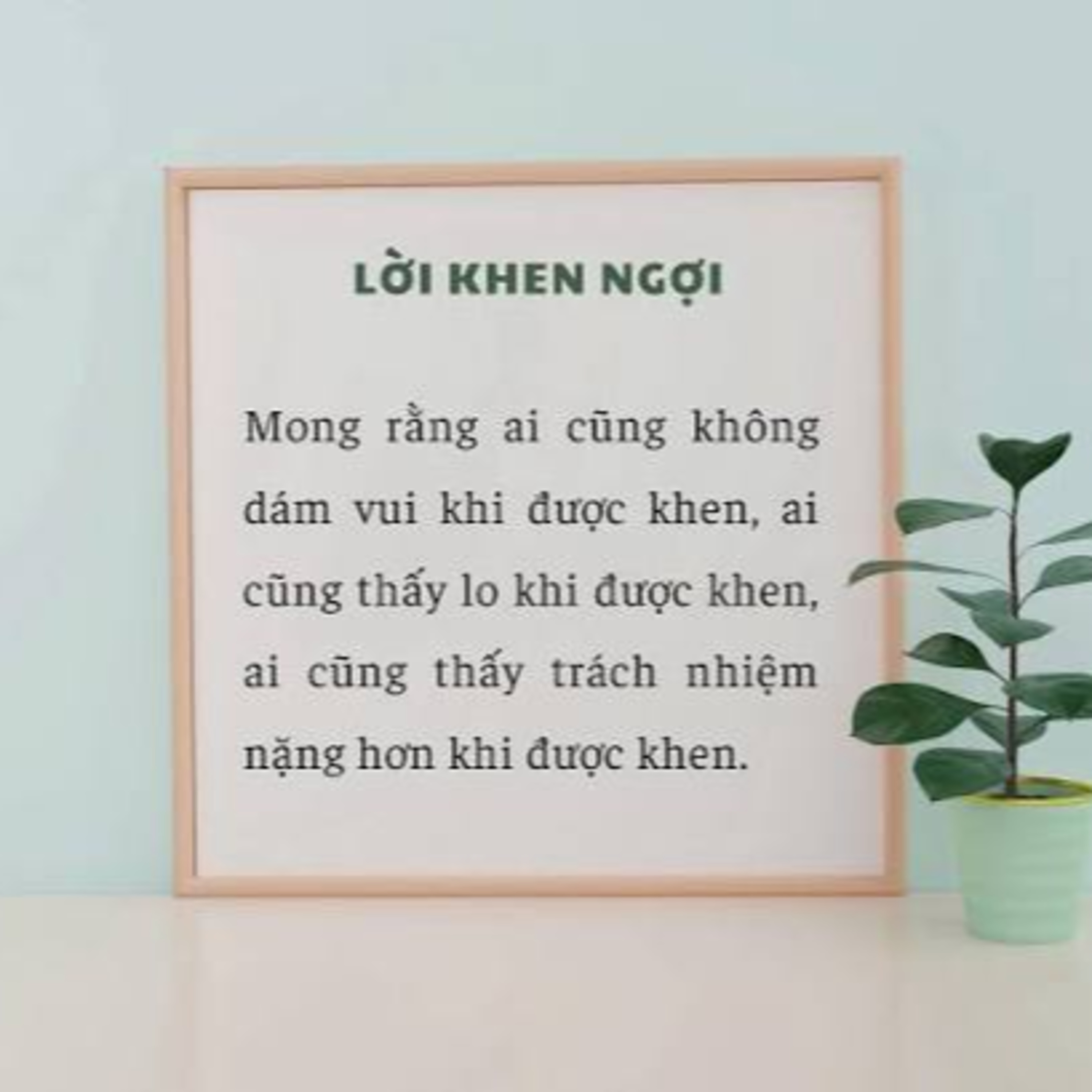 SỰ THẬT ĐẰNG SAU NHỮNG LỜI KHEN VÀ CĂN BỆNH TRẦM KHA MANG TÊN "XIN 3 CHỮ CÁI"