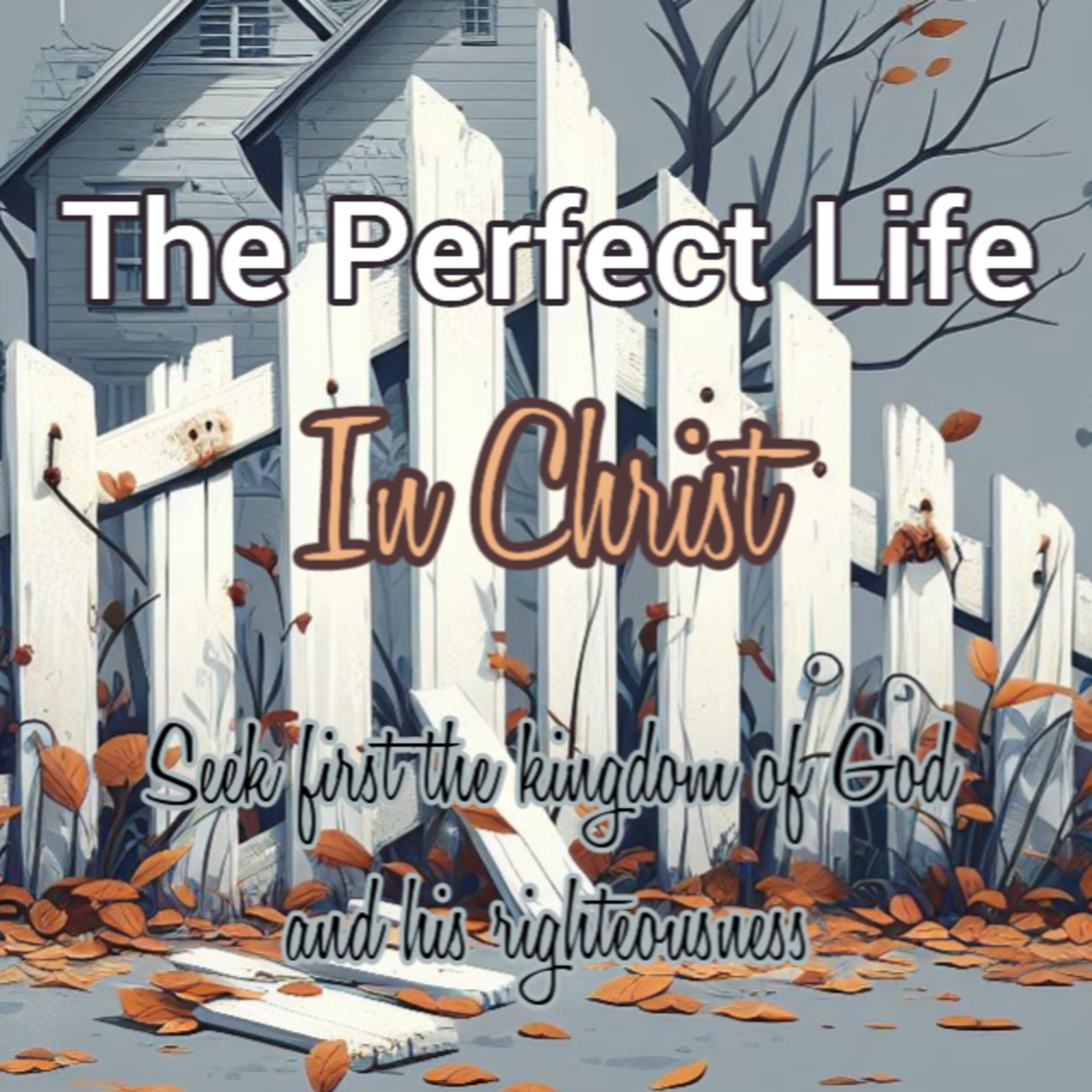 The Perfect Life In Christ