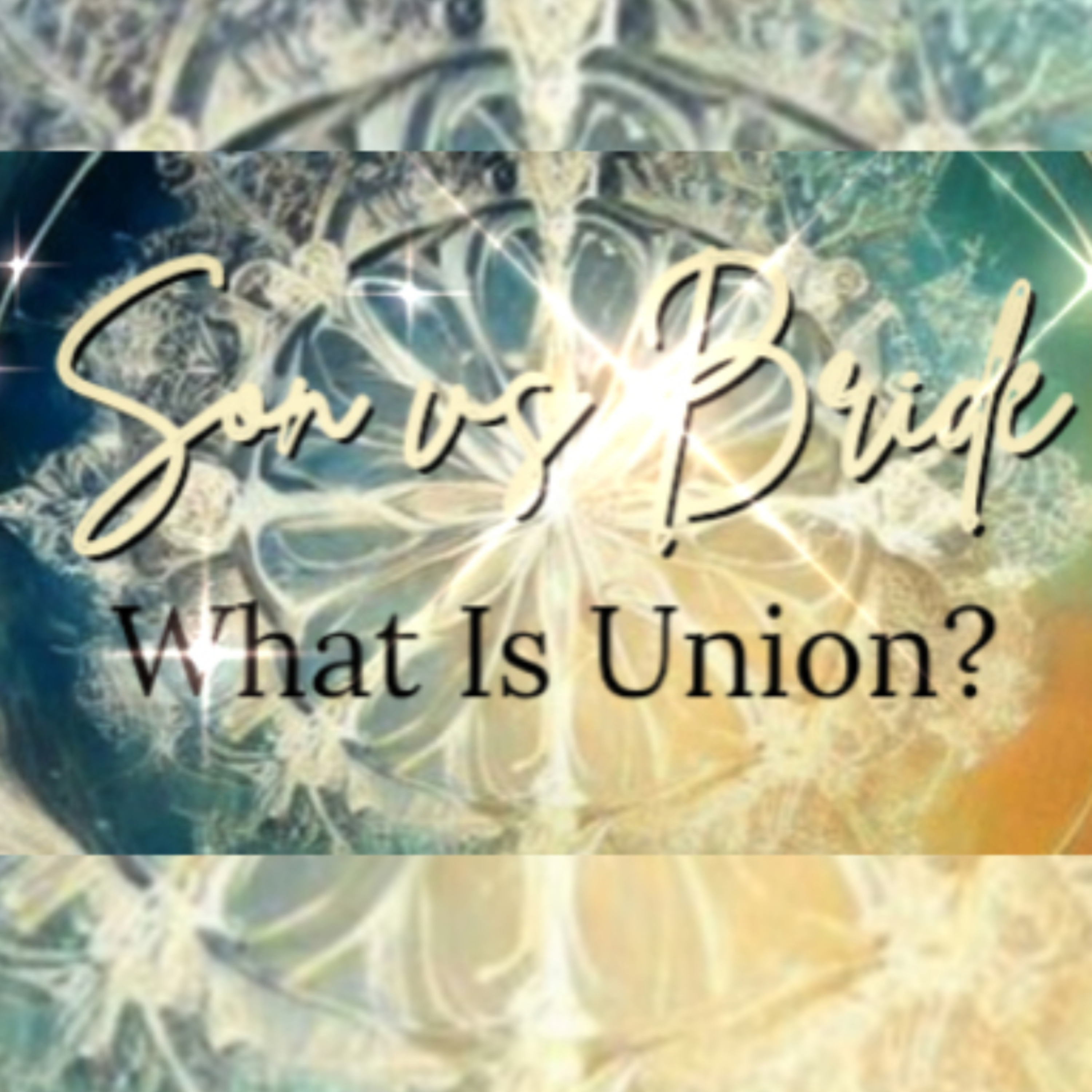Sons vs Brides - What Is Union?
