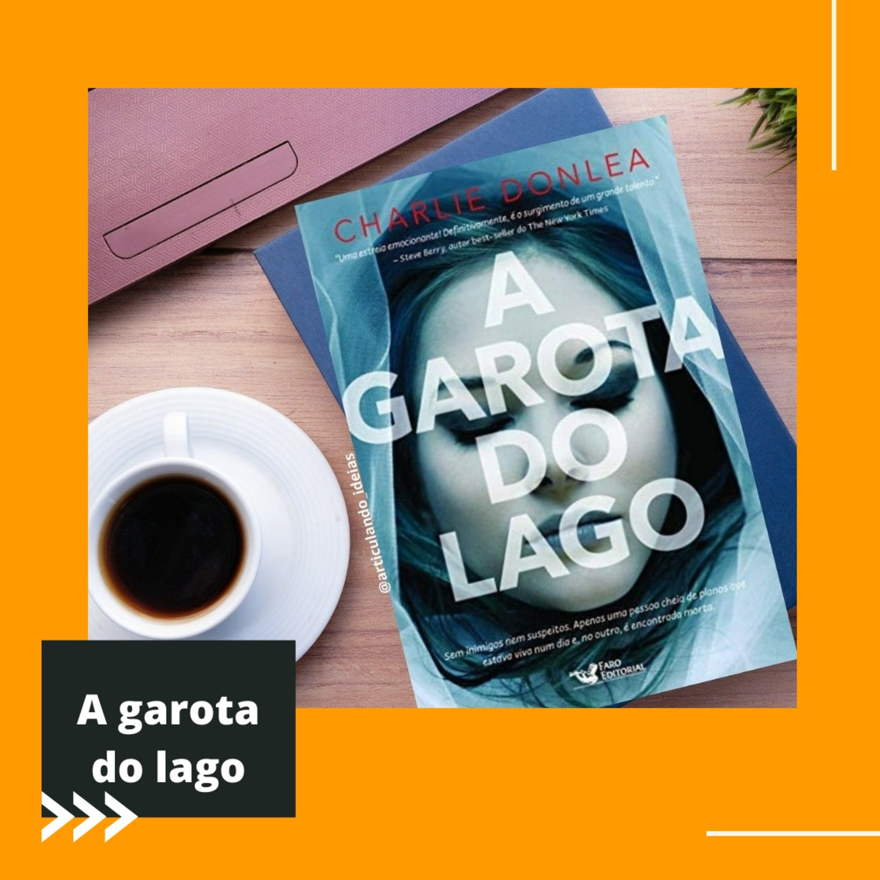 Ep.29 - A garota do lago ( Atualizado) episode artwork